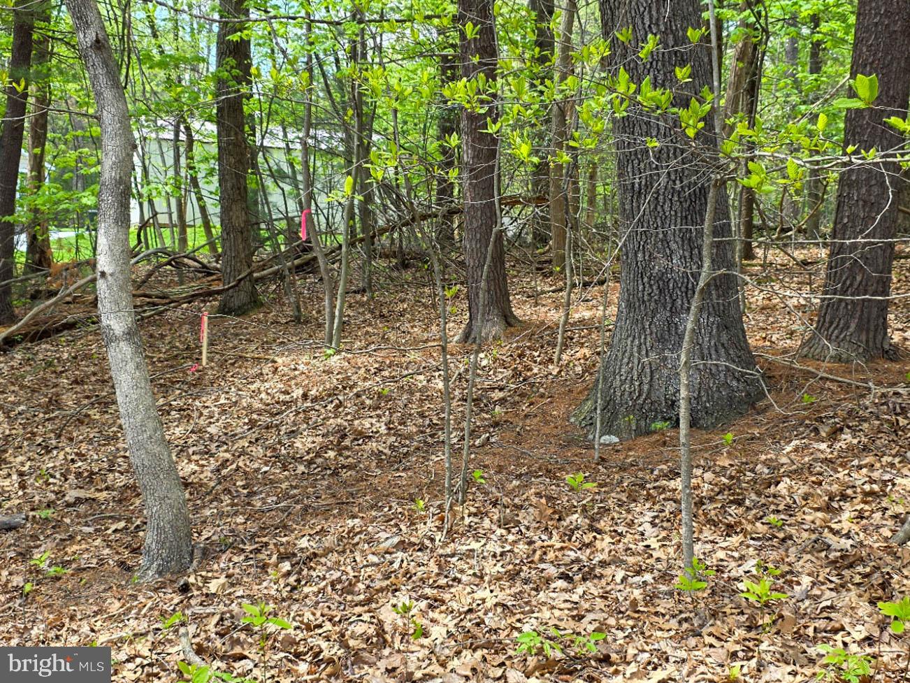 HIDDEN PINES - Residential