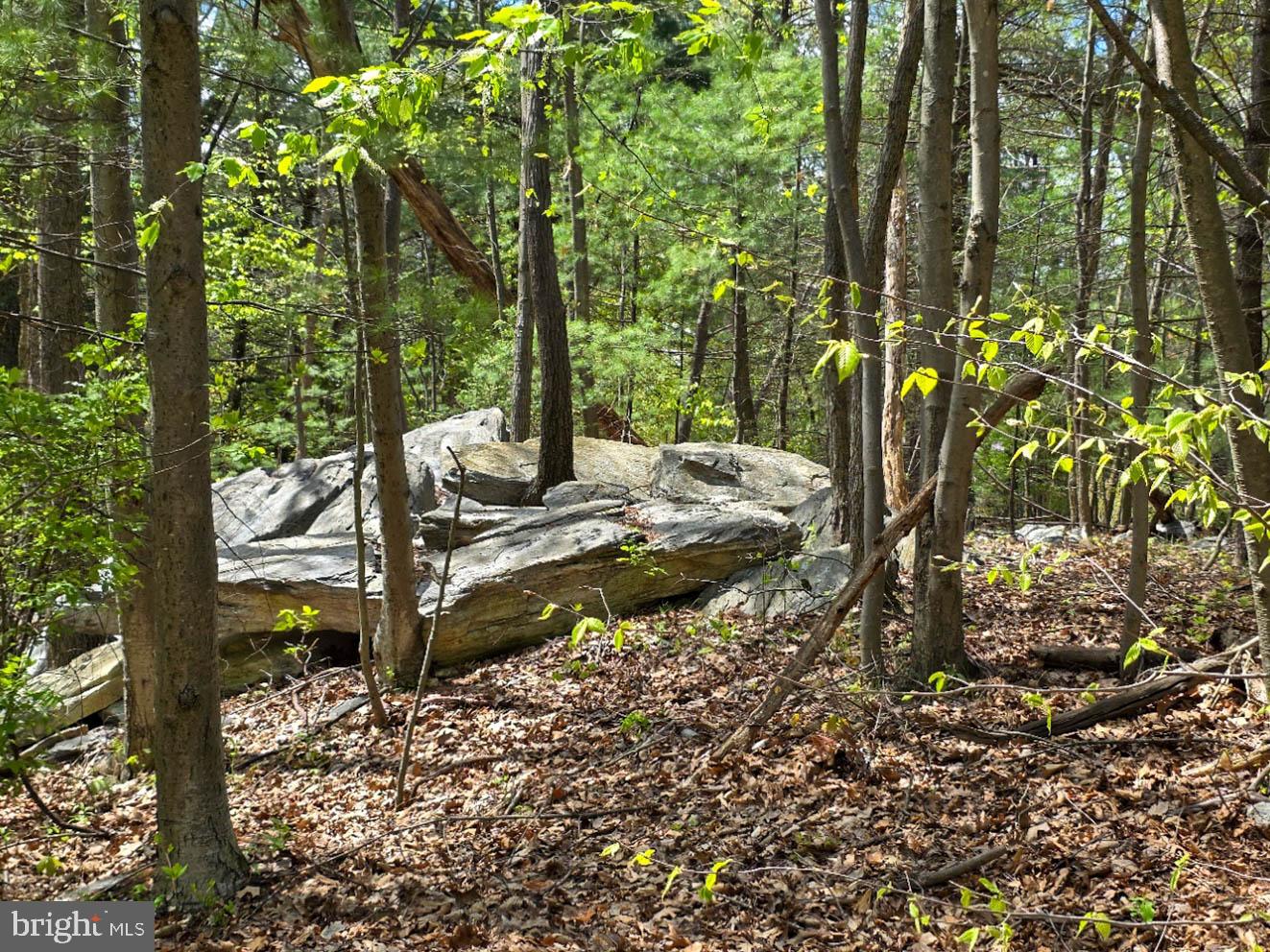 HIDDEN PINES - Residential
