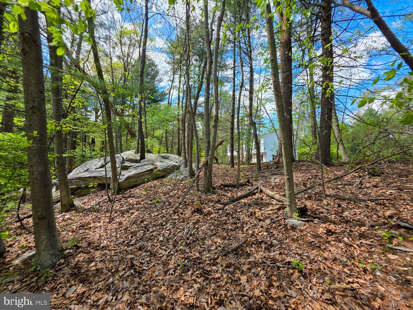 HIDDEN PINES - Residential