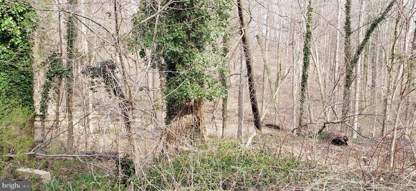 4200 CHESAPEAKE AVENUE