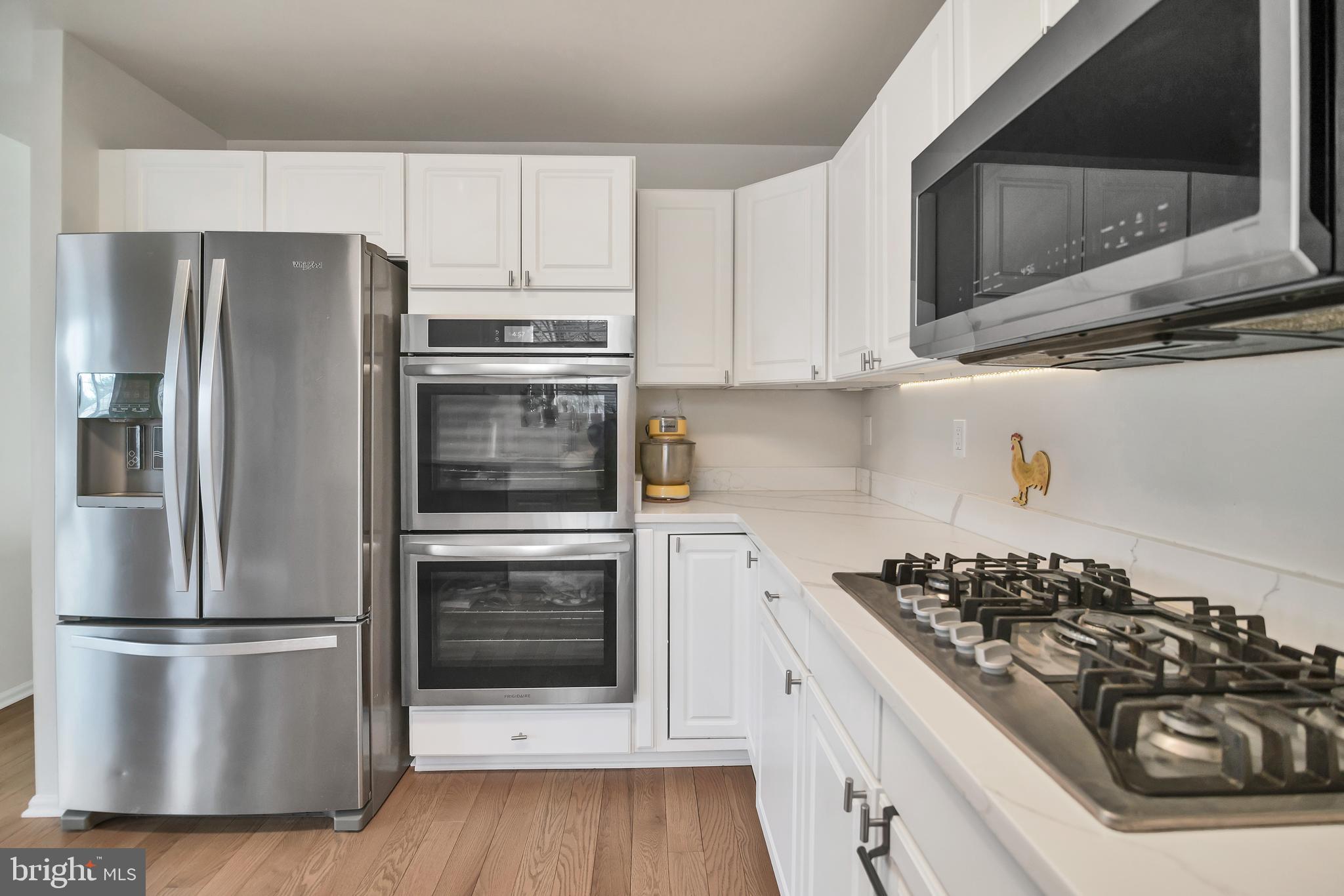 VILLAGE OF PAINTERS MILL - Residential