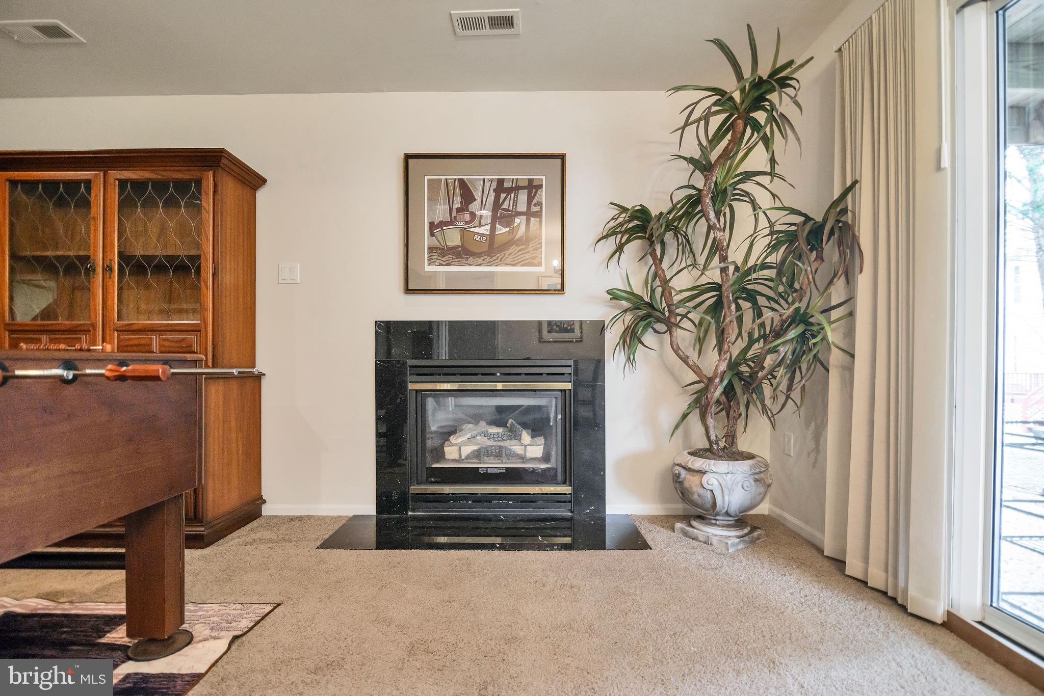 VILLAGE OF PAINTERS MILL - Residential