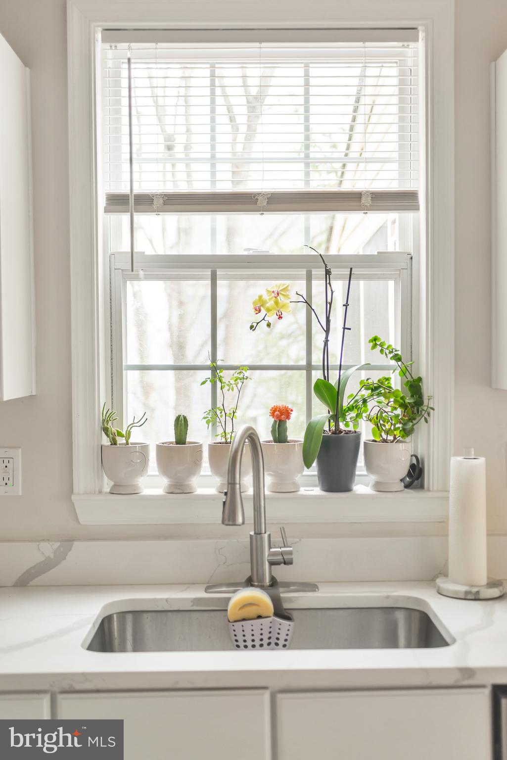 VILLAGE OF PAINTERS MILL - Residential