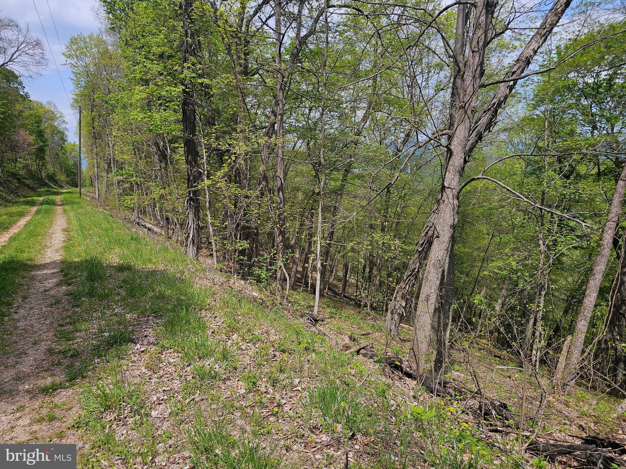 HIGH VIEW ROAD