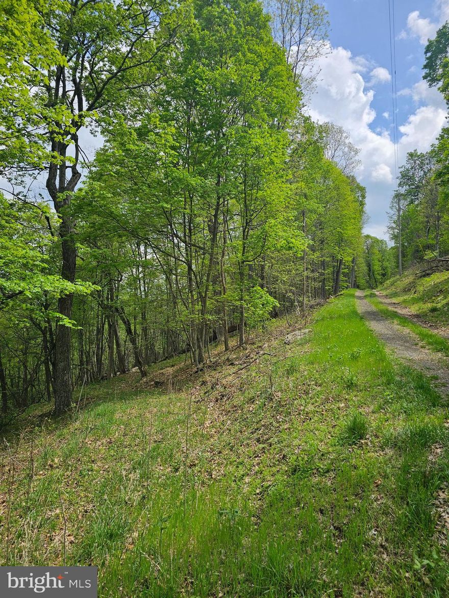 MOUNTAIN VIEWS FOR SURE looking for a place to build a mountainside cabin for a full-time residence or weekend getaway, this could be it. The views are spectacular. This 10.658 acres is all wooded and is on the mountain. If you are looking for privacy and nothing but nature and views, come take a look at this one.
Approximately 20 minutes to Moorefield for your shopping convenience.