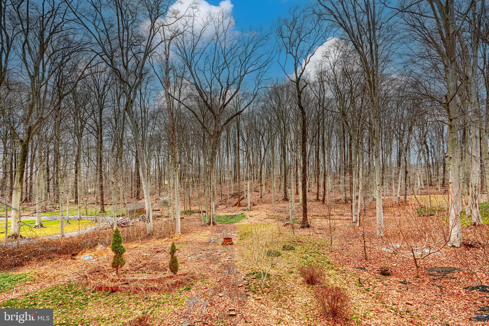 PRIESTFORD HILLS - Residential