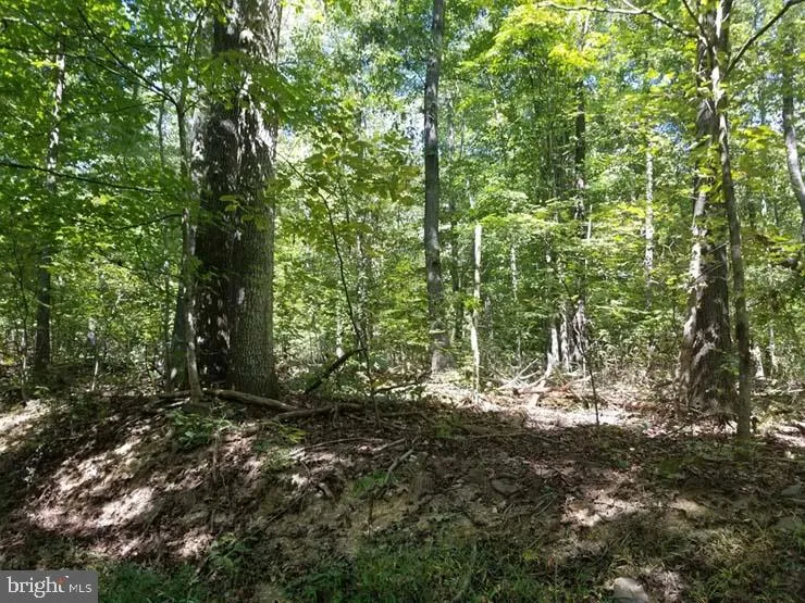 Lot 1 McCoysville Road, Mifflin, PA 17058