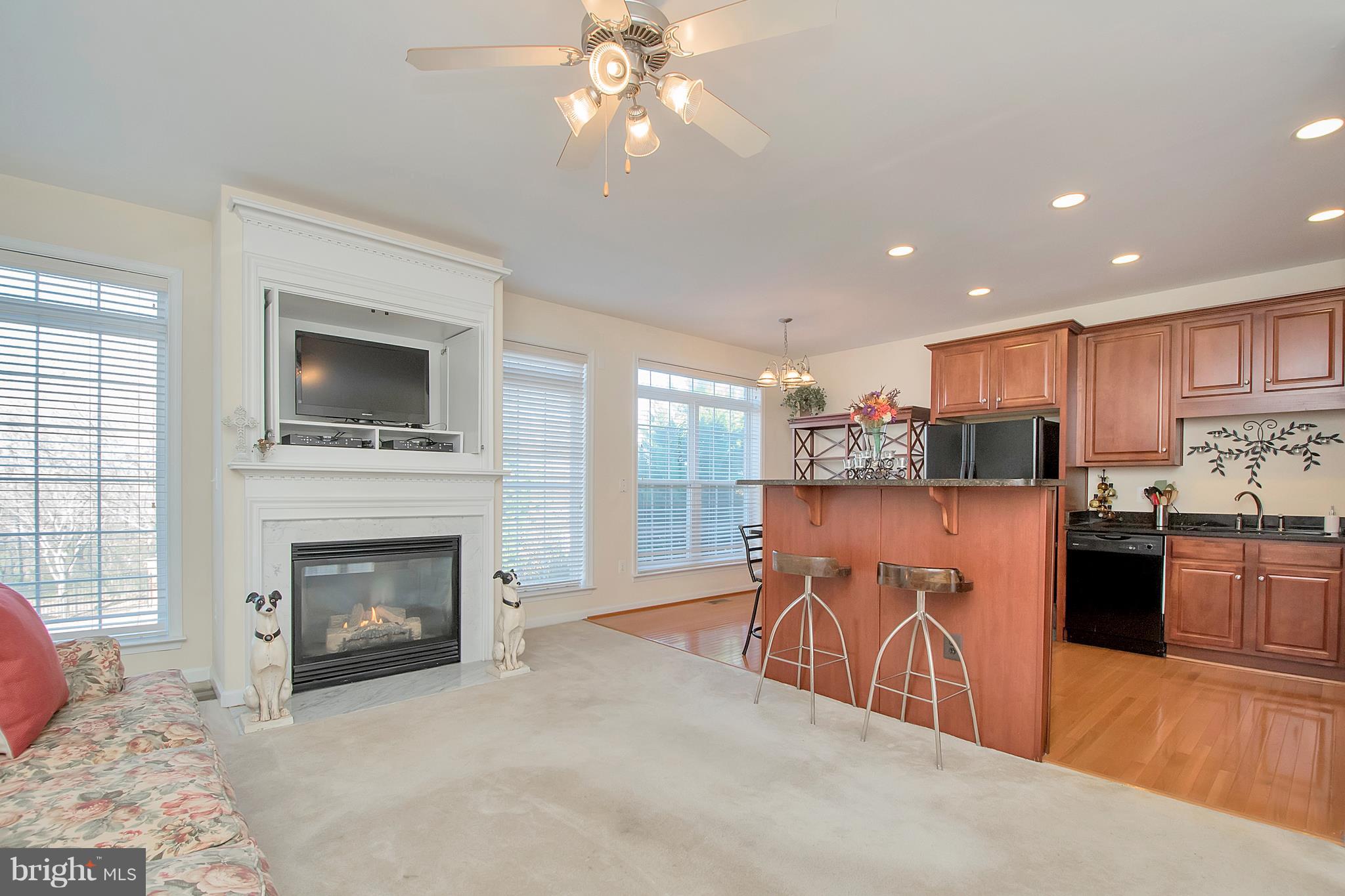 OLDE TOWNE STATION - Residential