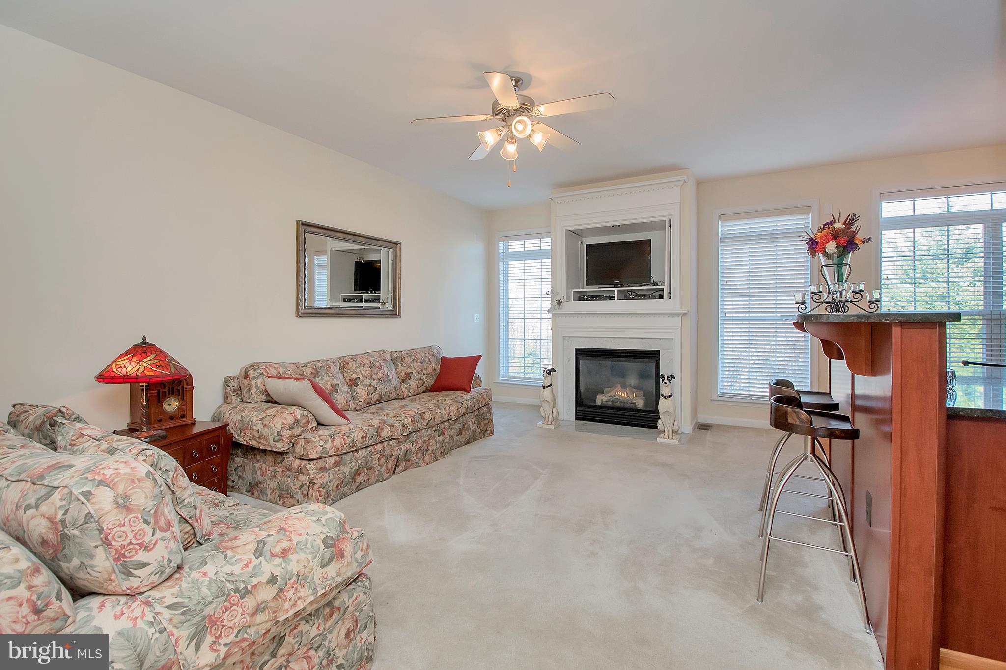 OLDE TOWNE STATION - Residential