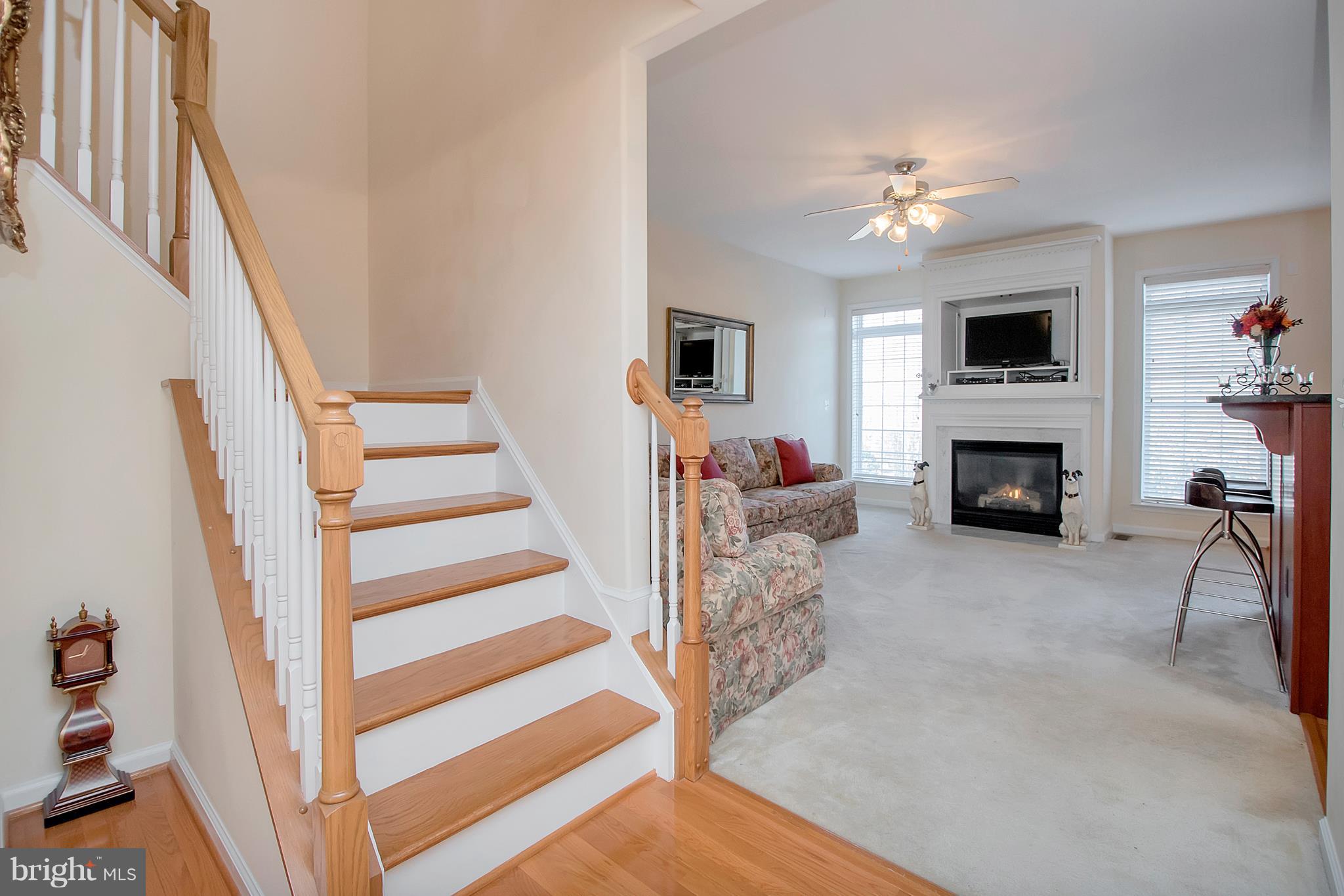 OLDE TOWNE STATION - Residential