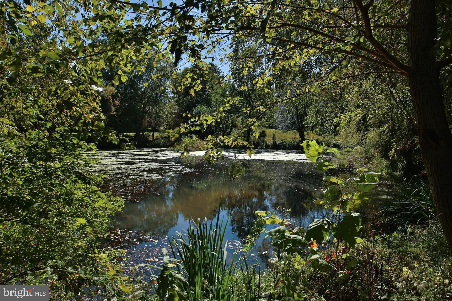 OLD FORGE CROSSING - Residential