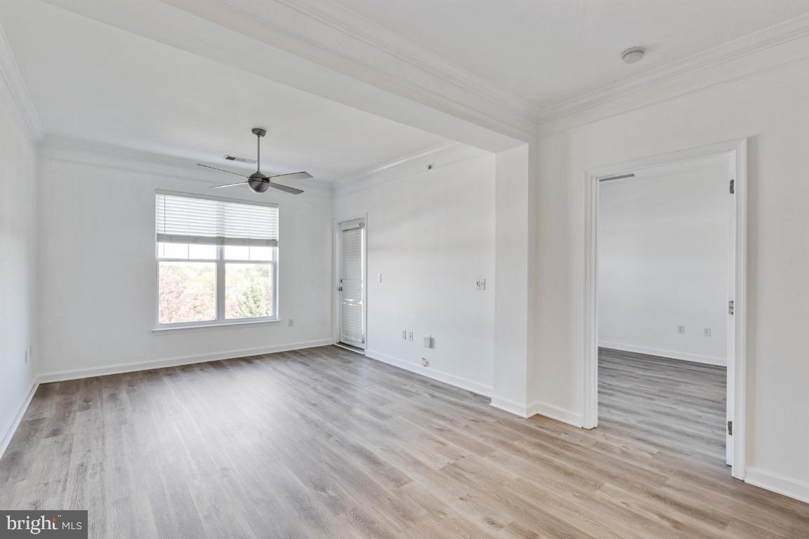 FITZ AT ROCKVILLE TOWN C - Residential