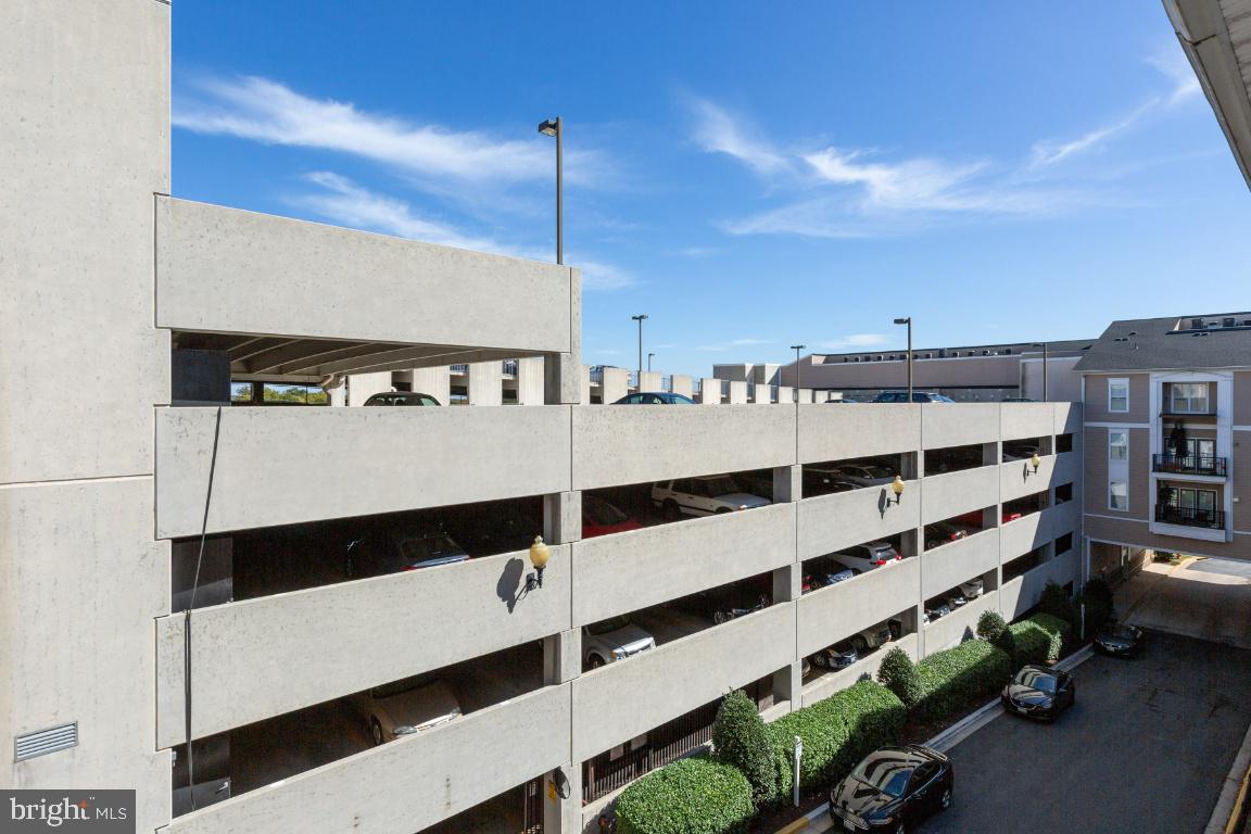 FITZ AT ROCKVILLE TOWN C - Residential