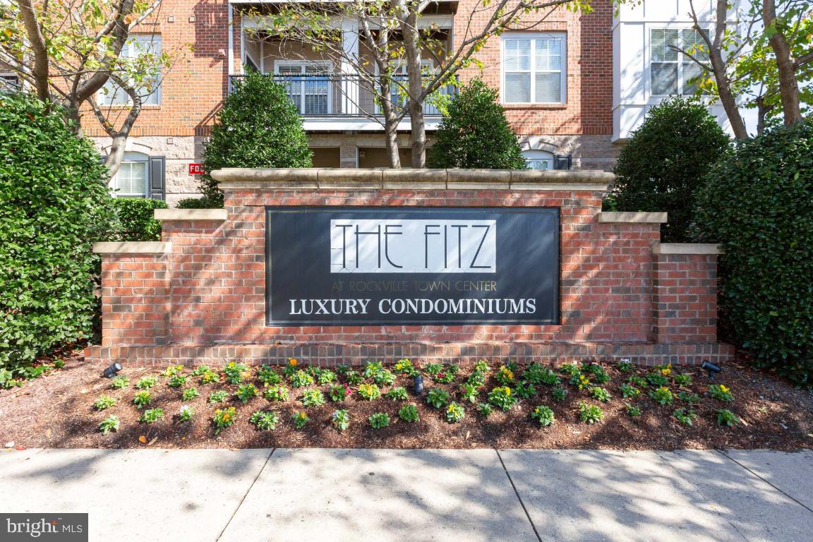 FITZ AT ROCKVILLE TOWN C - Residential