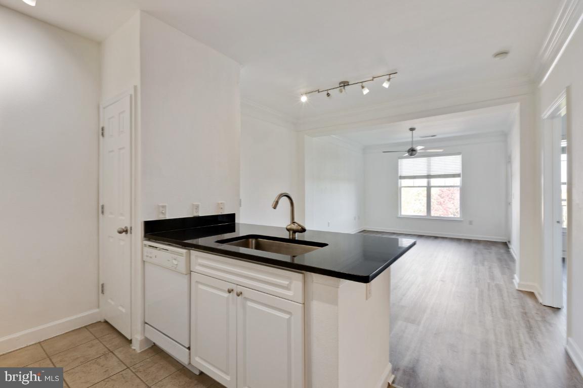 FITZ AT ROCKVILLE TOWN C - Residential