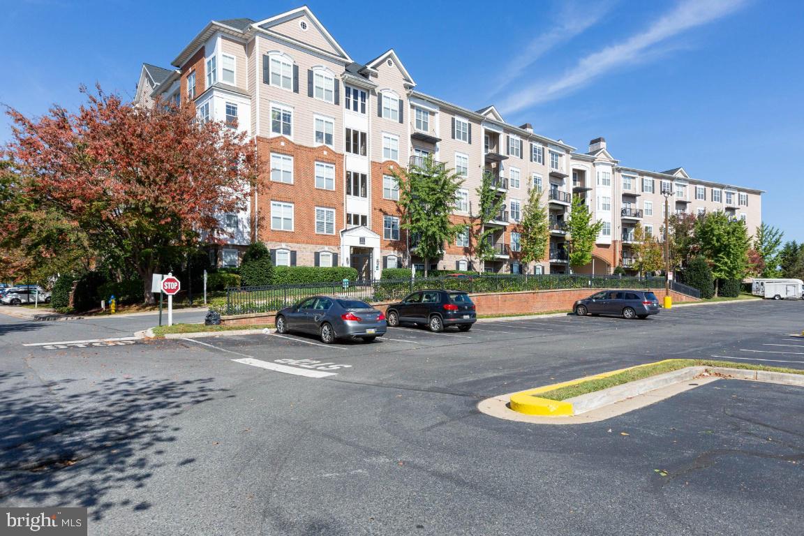 FITZ AT ROCKVILLE TOWN C - Residential