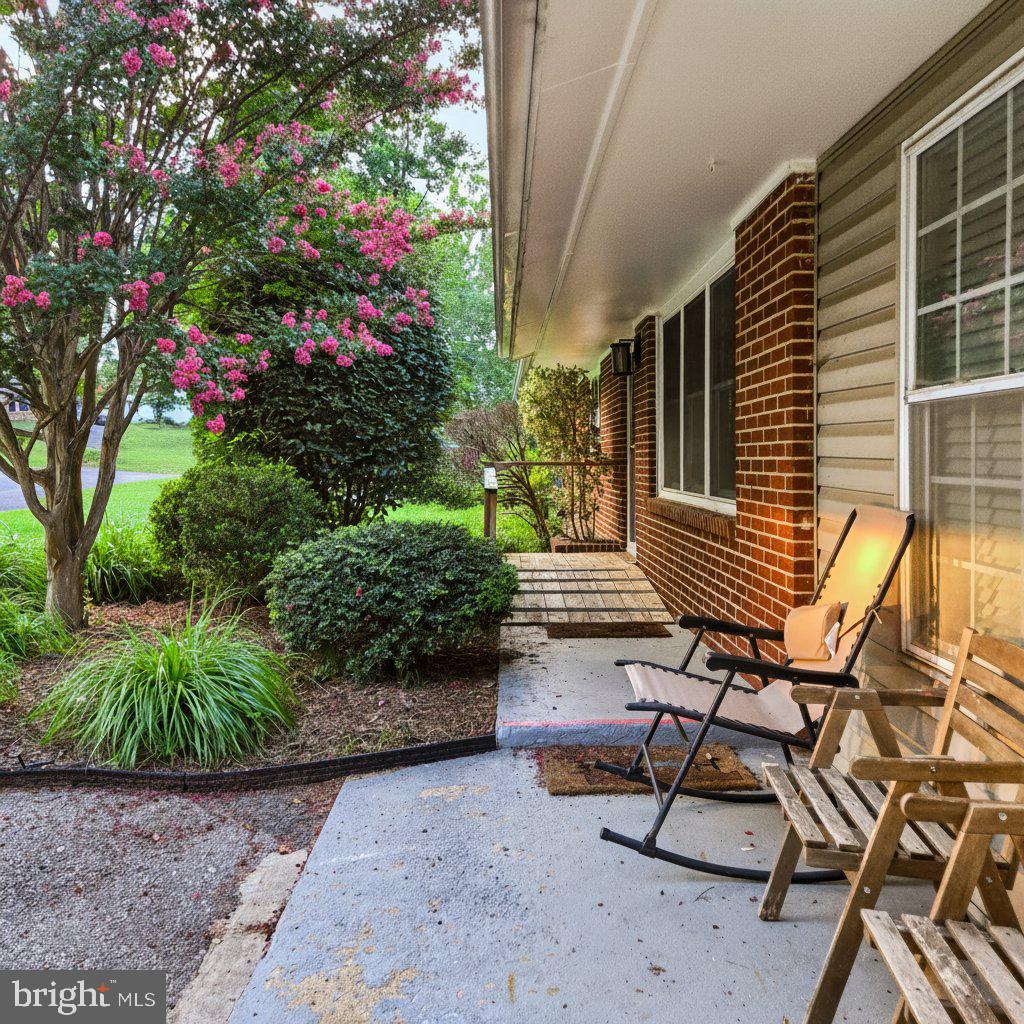 301 CEDAR LANE