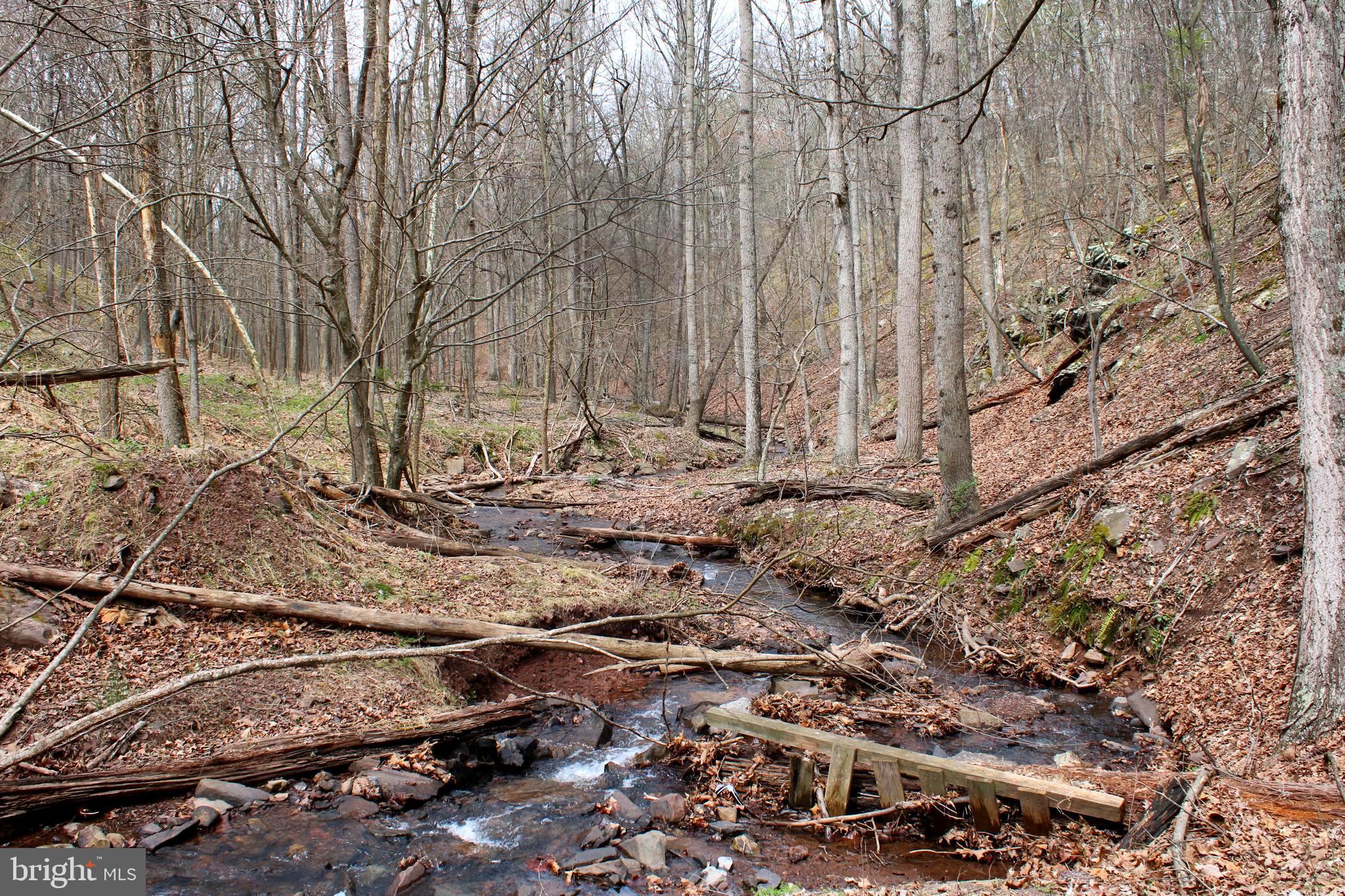 REDSTONE MOUNTAIN - Land