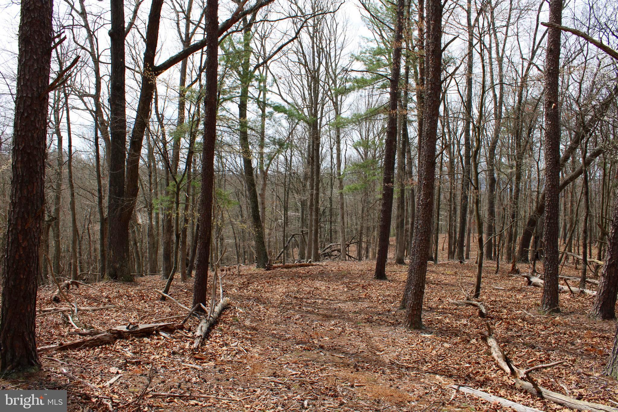 REDSTONE MOUNTAIN - Land