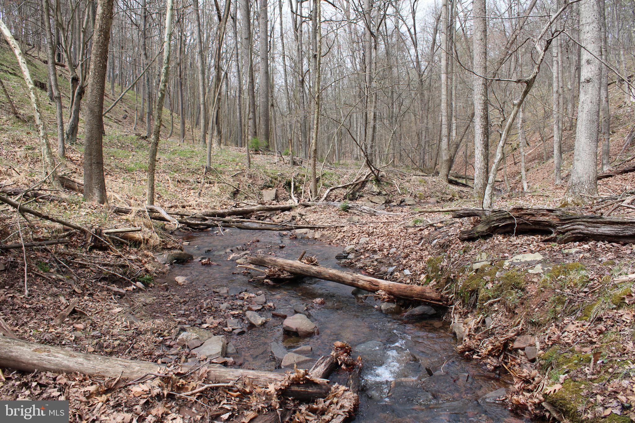REDSTONE MOUNTAIN - Land