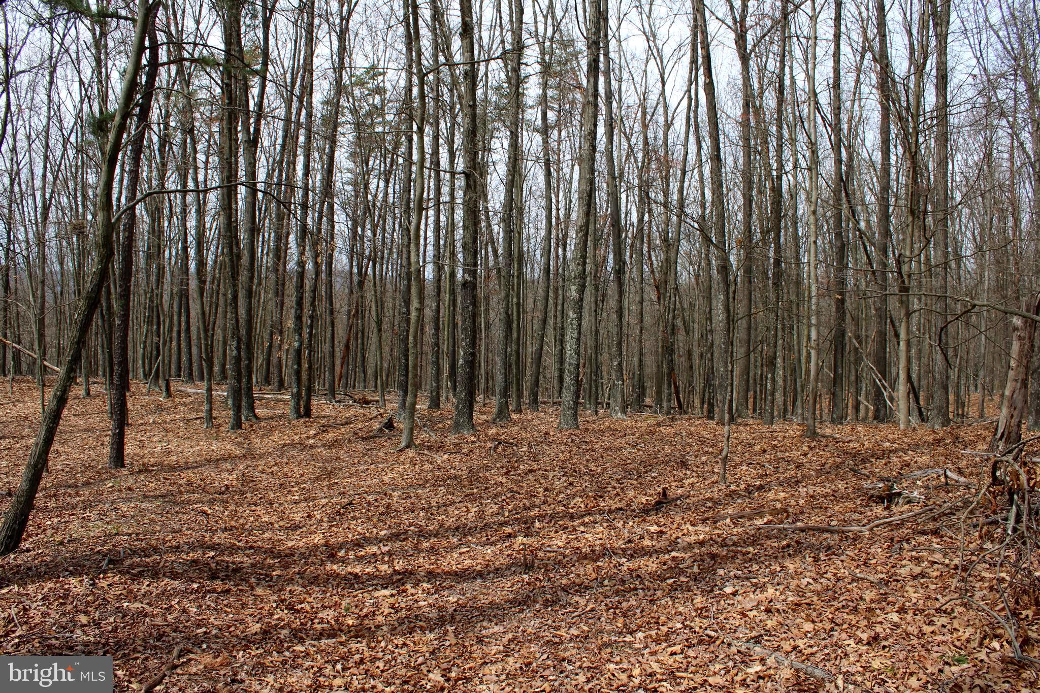 REDSTONE MOUNTAIN - Land