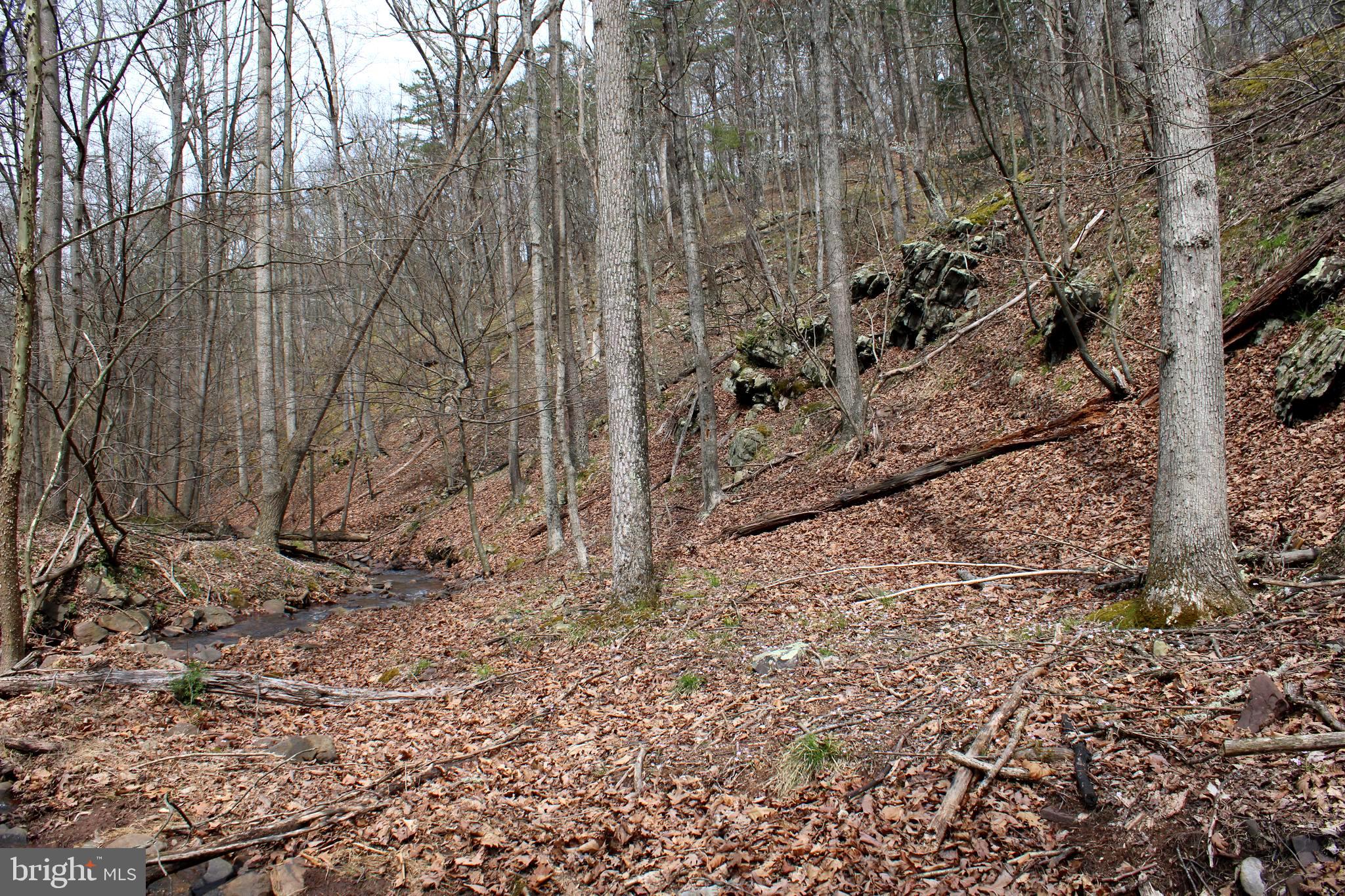 REDSTONE MOUNTAIN - Land