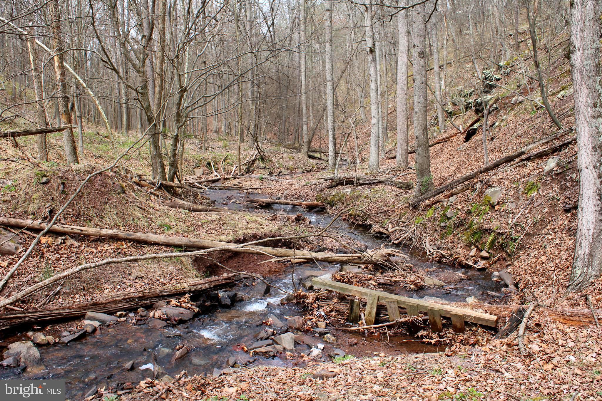 REDSTONE MOUNTAIN - Land