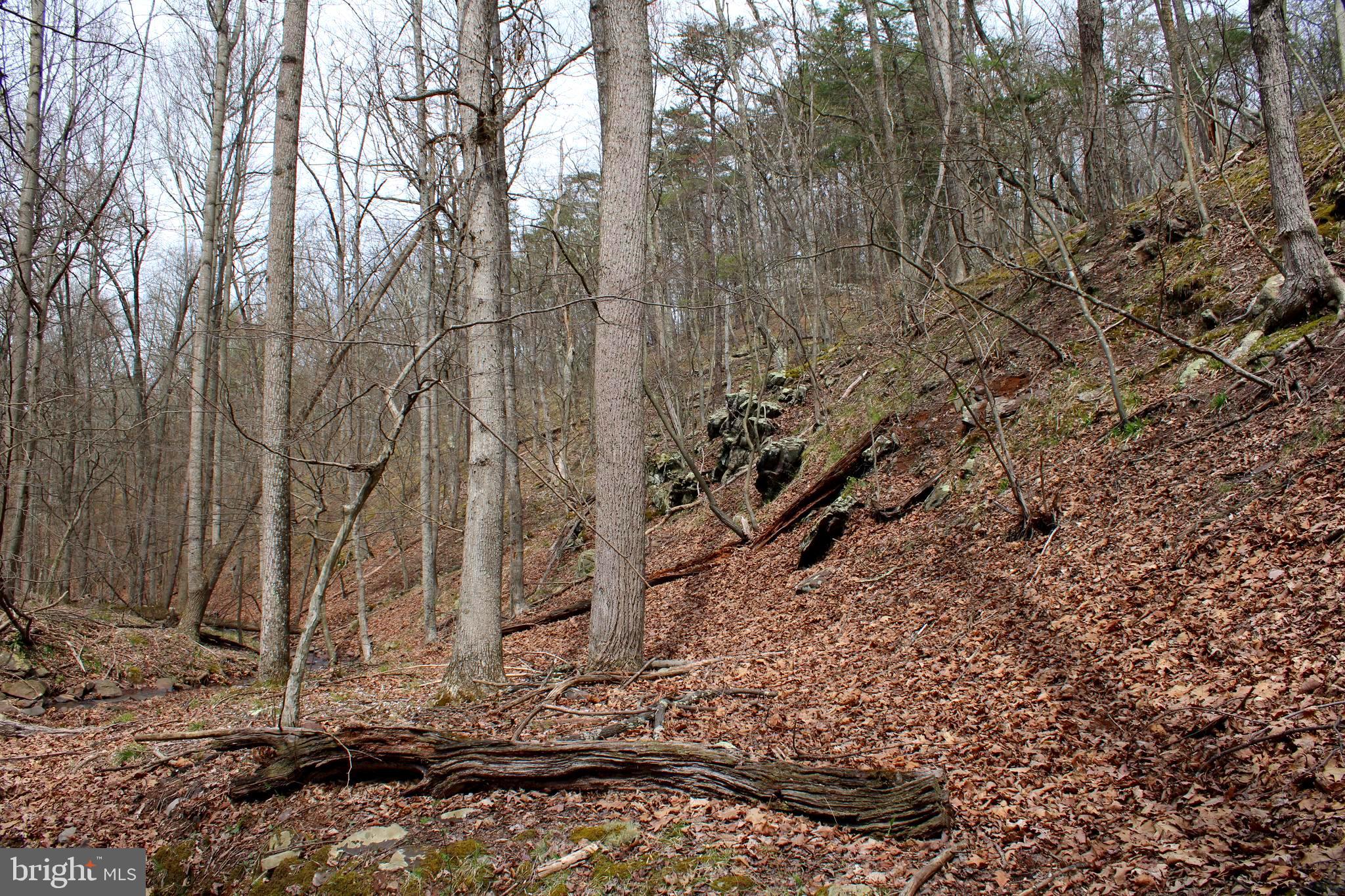 REDSTONE MOUNTAIN - Land