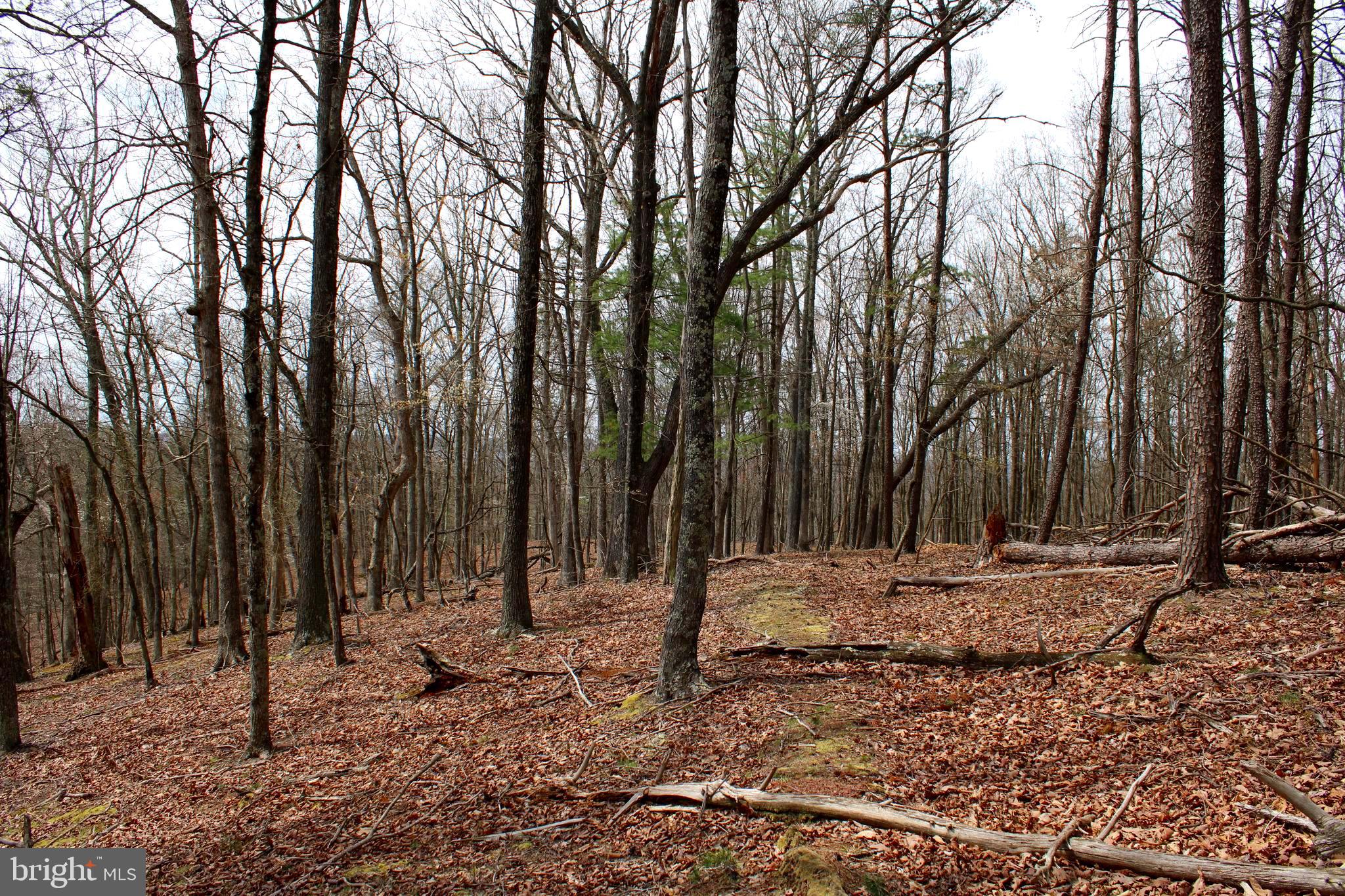 REDSTONE MOUNTAIN - Land