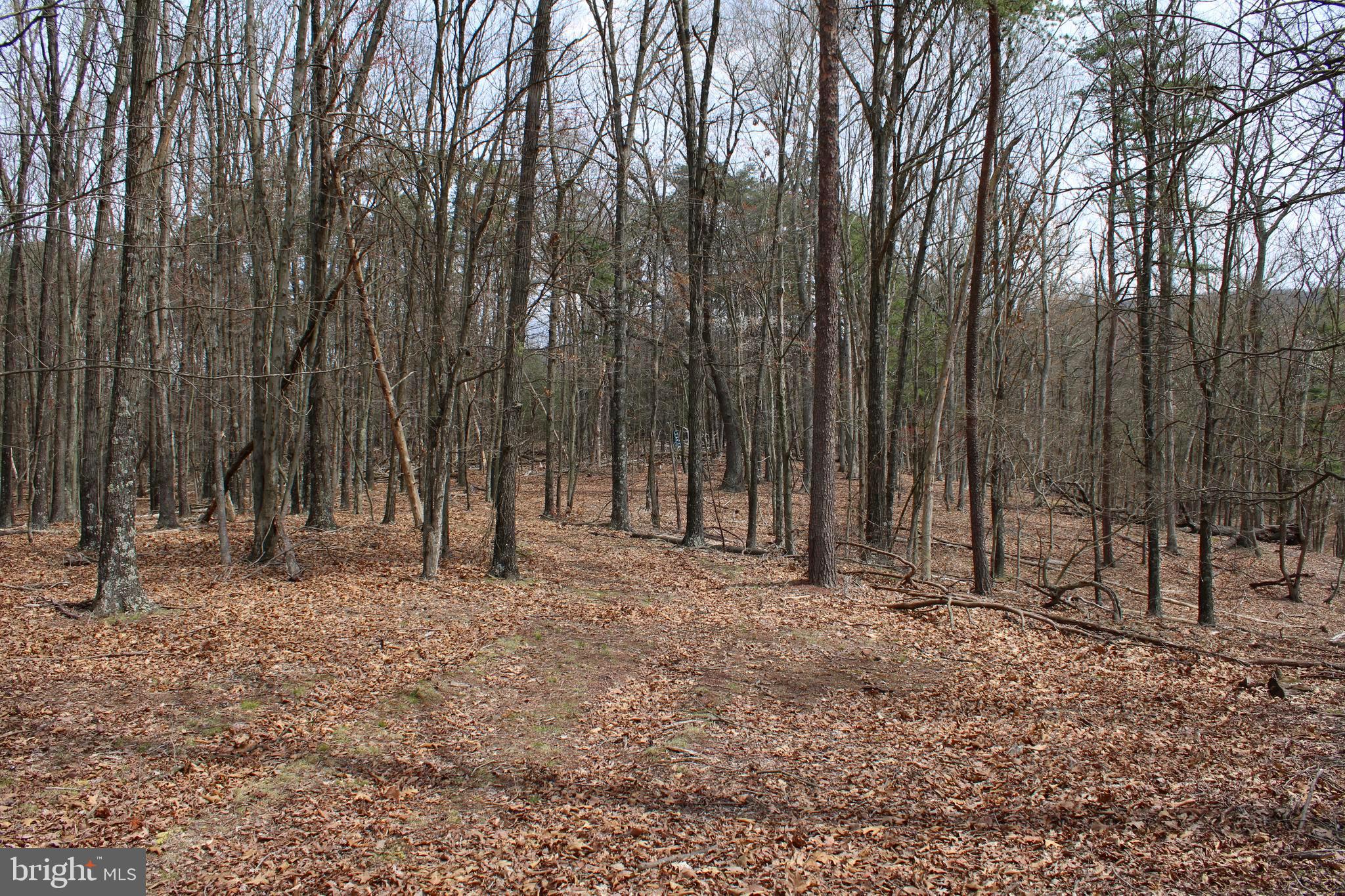REDSTONE MOUNTAIN - Land