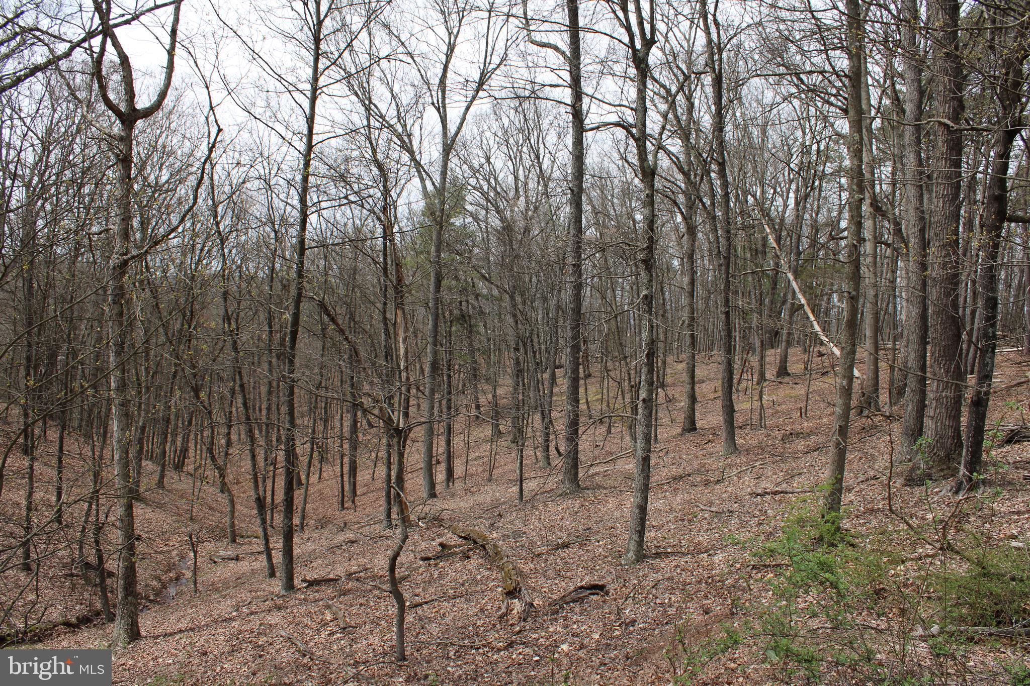 REDSTONE MOUNTAIN - Land