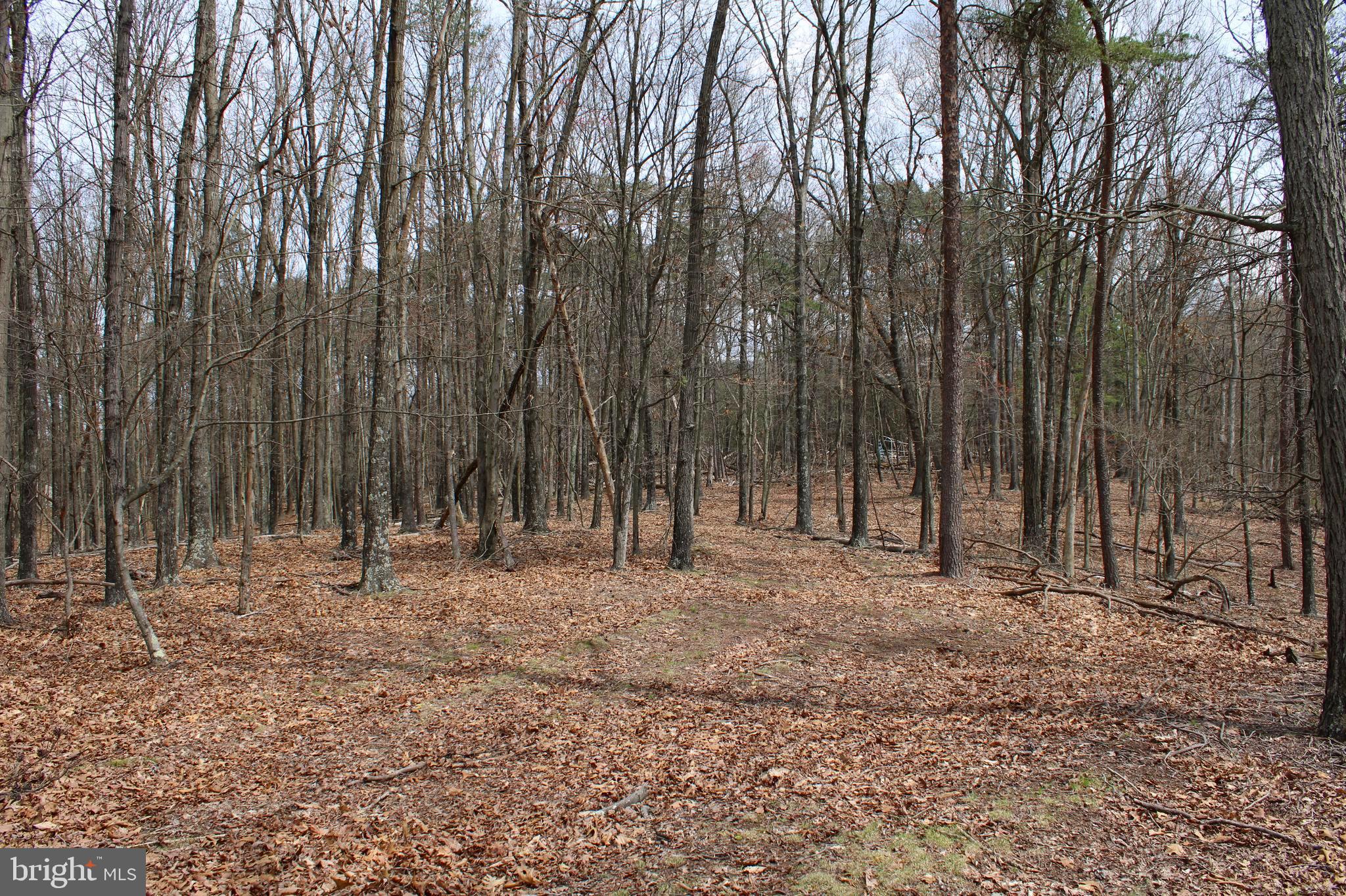 REDSTONE MOUNTAIN - Land