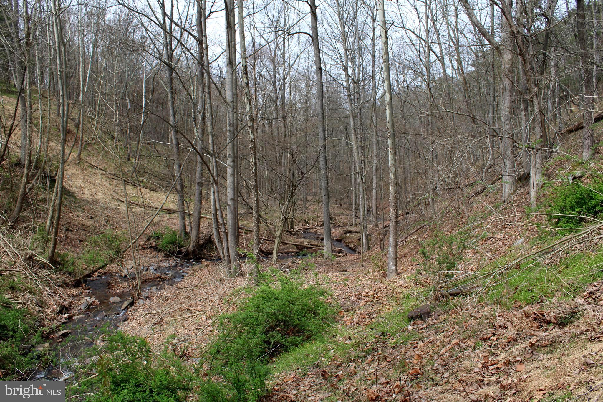 REDSTONE MOUNTAIN - Land