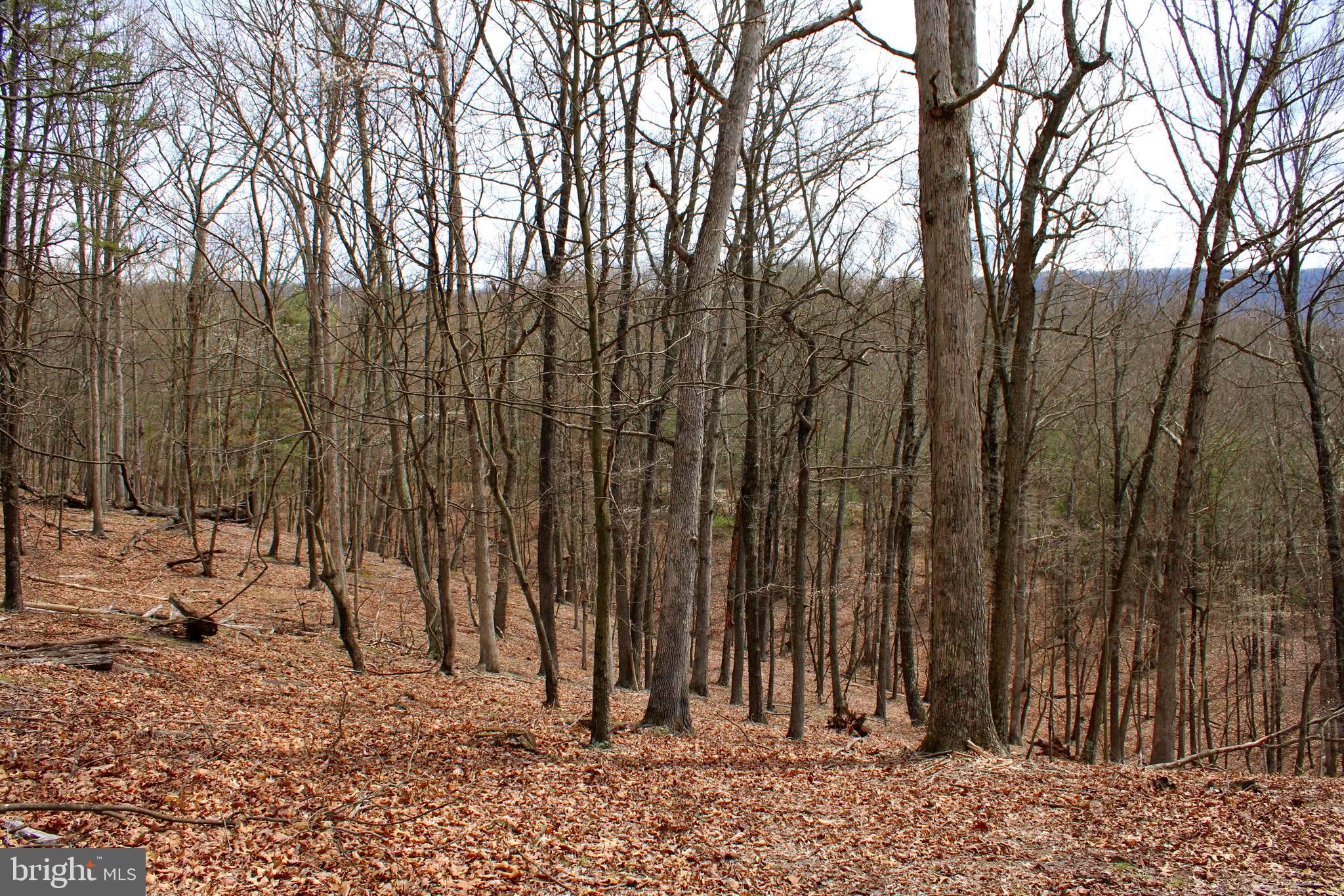 REDSTONE MOUNTAIN - Land