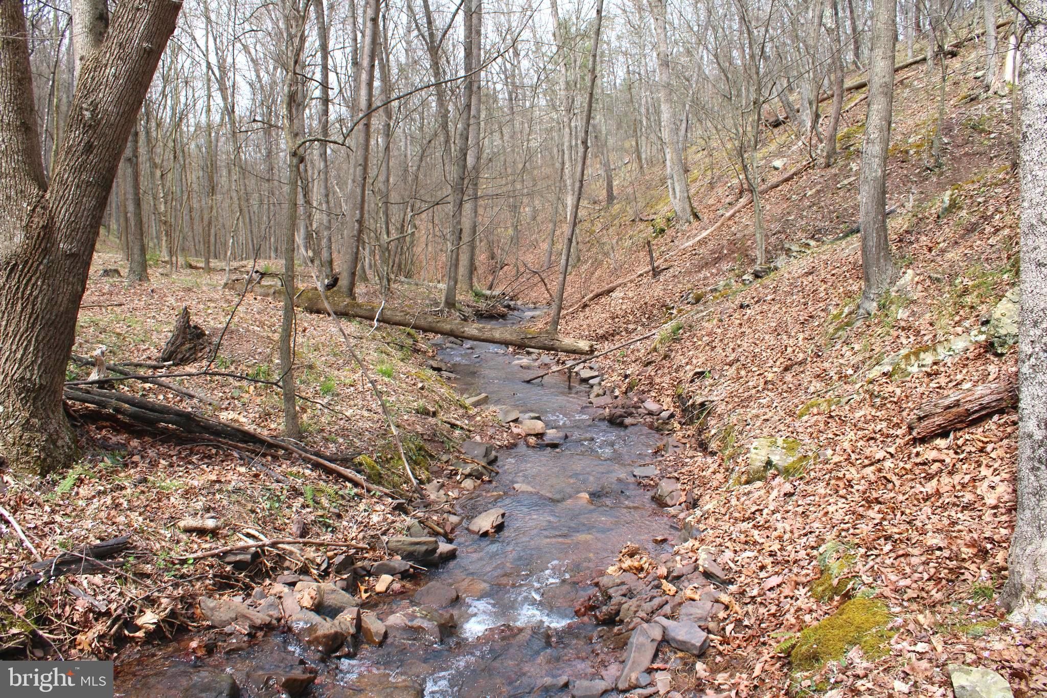 REDSTONE MOUNTAIN - Land