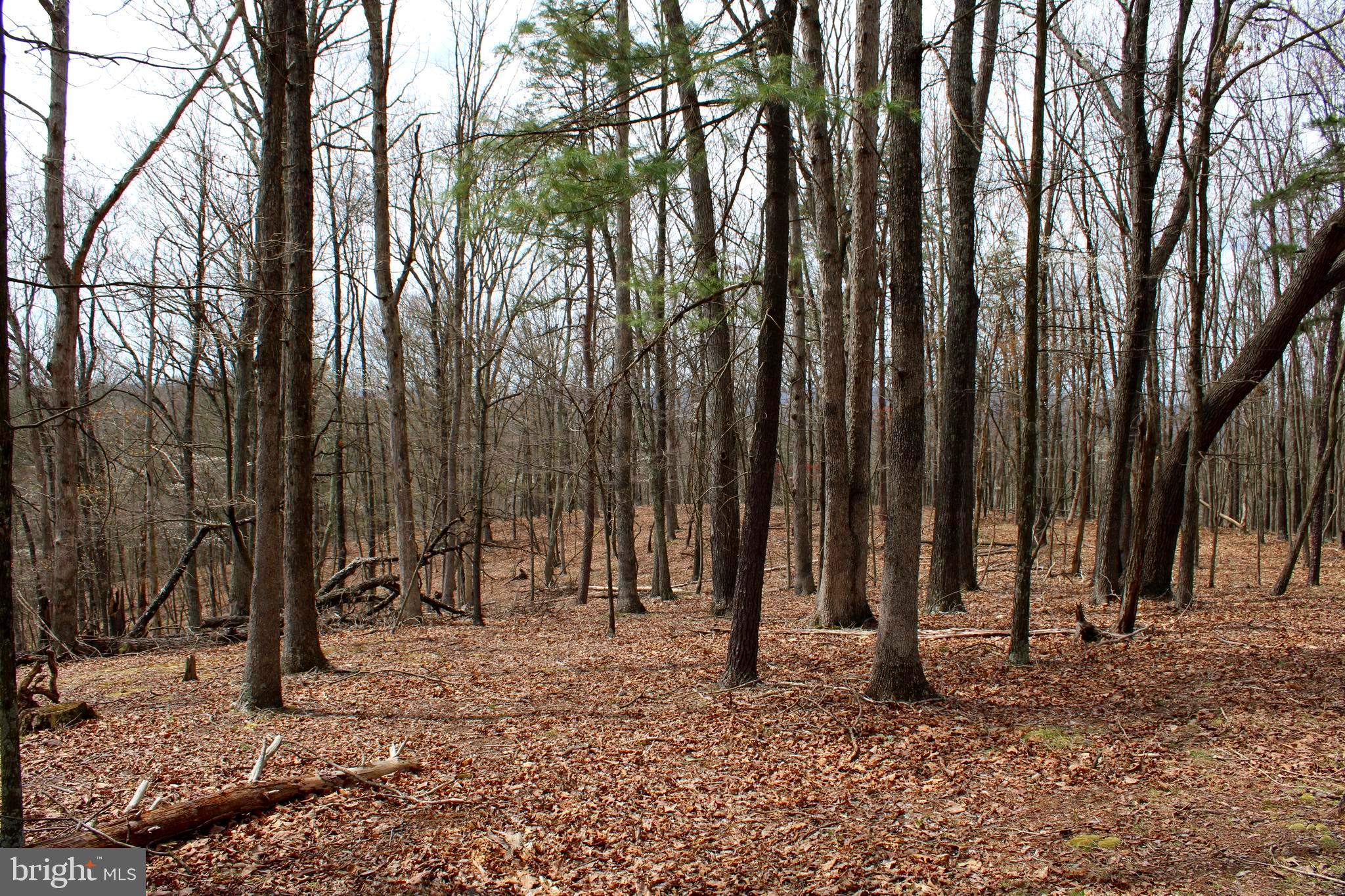 REDSTONE MOUNTAIN - Land