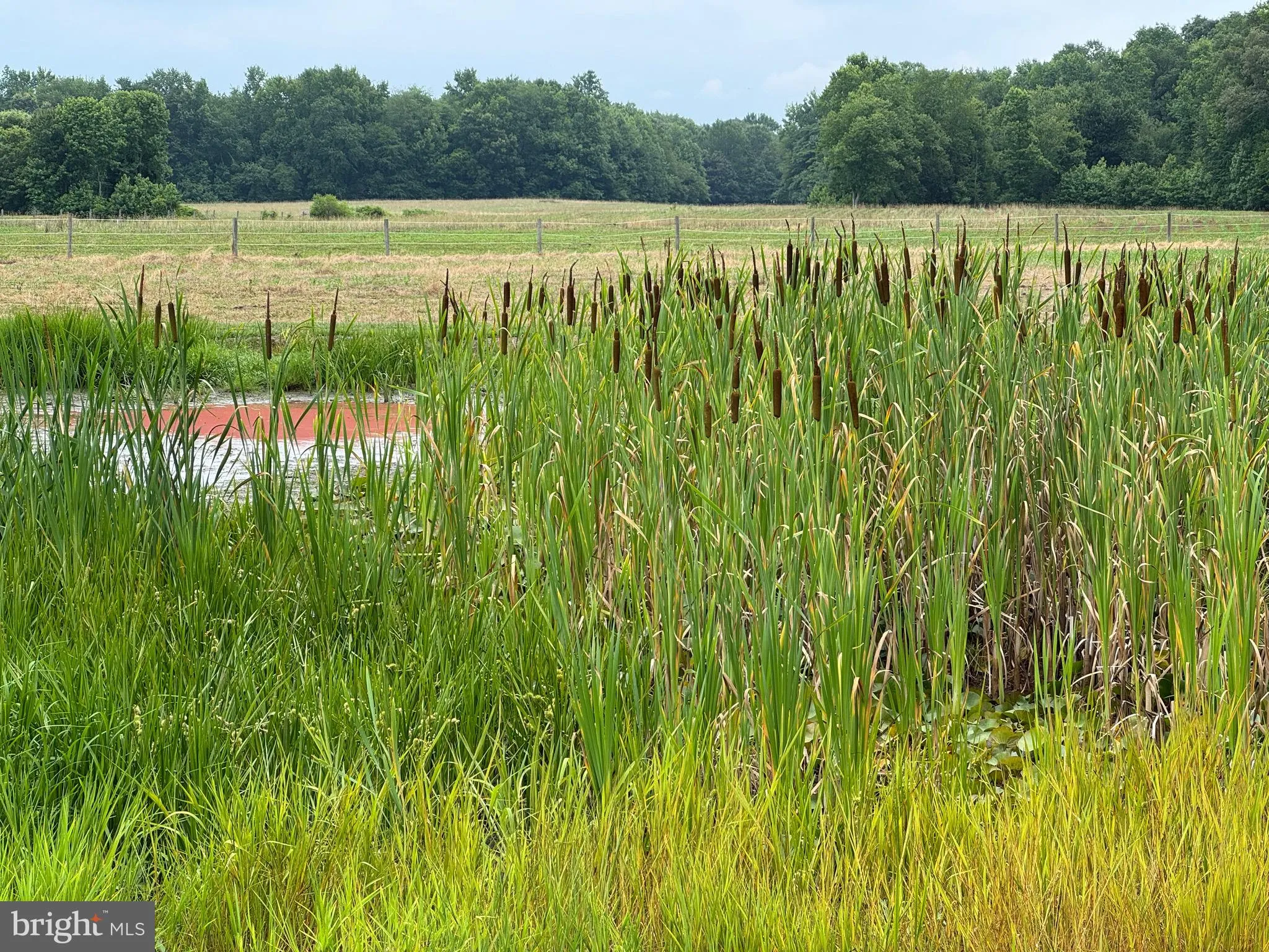 Additional image 96 of 13235 Knotts Lane, Golts, MD 21635