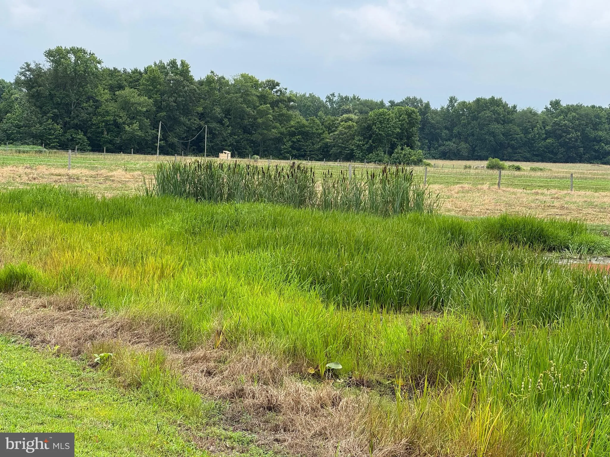 Additional image 97 of 13235 Knotts Lane, Golts, MD 21635