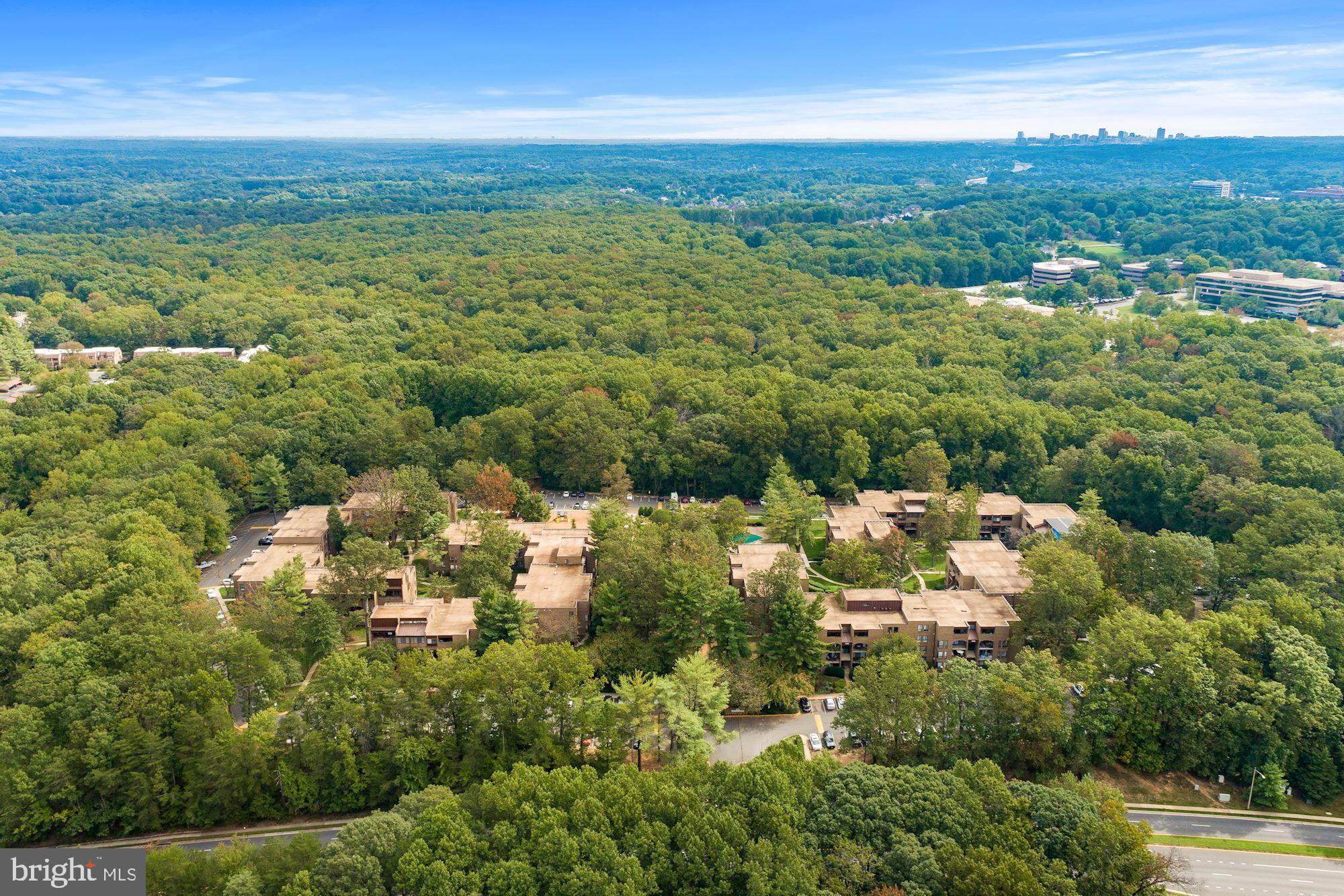 CHESTNUT GROVE - Residential