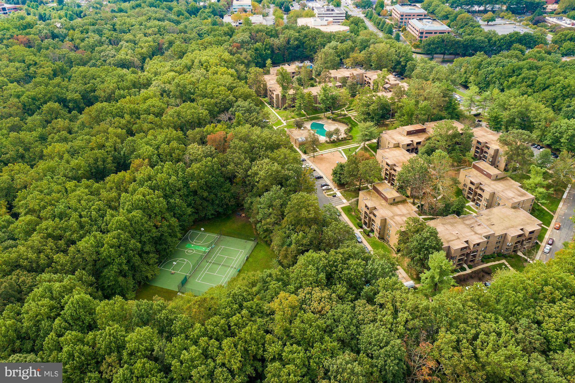 CHESTNUT GROVE - Residential