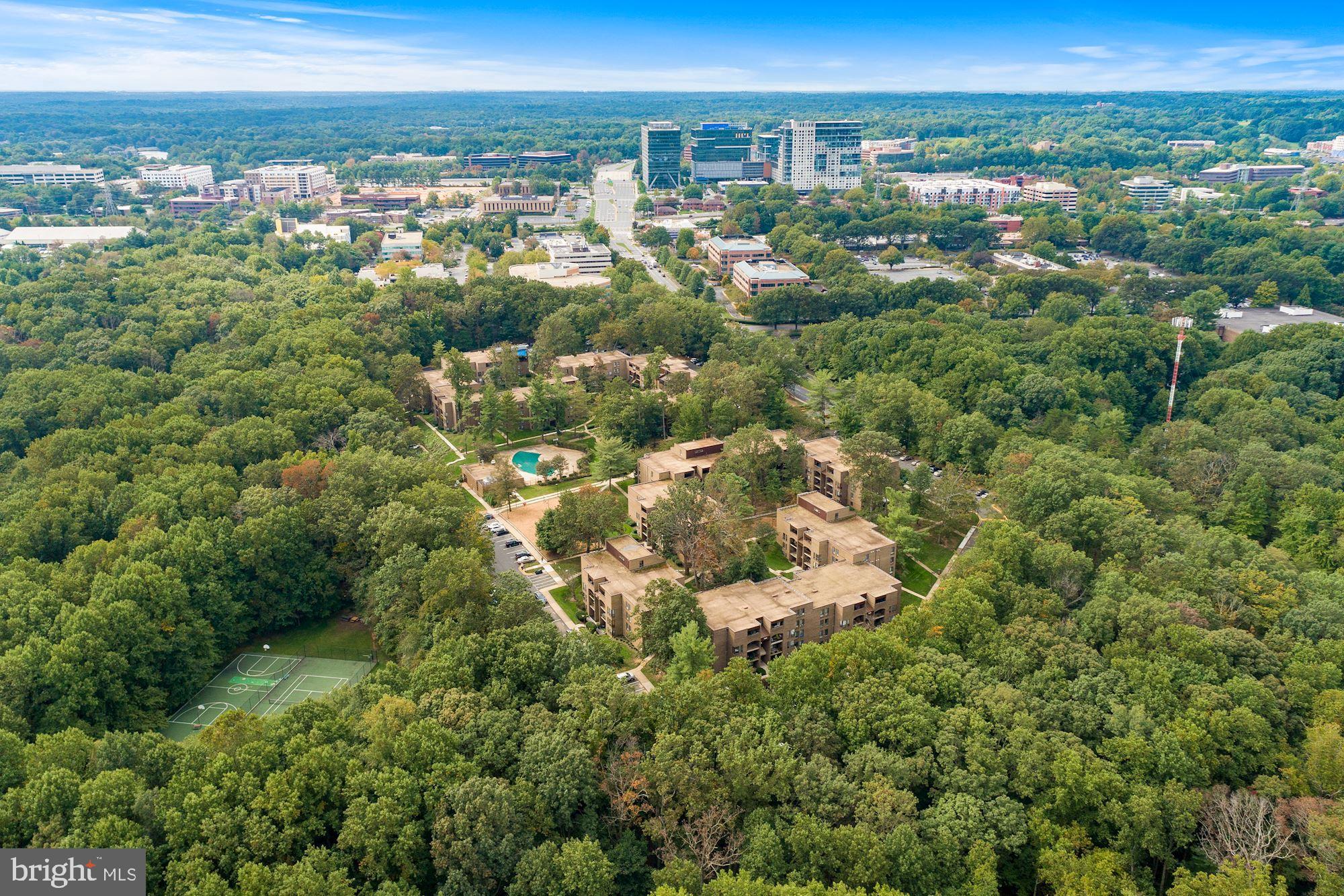 CHESTNUT GROVE - Residential