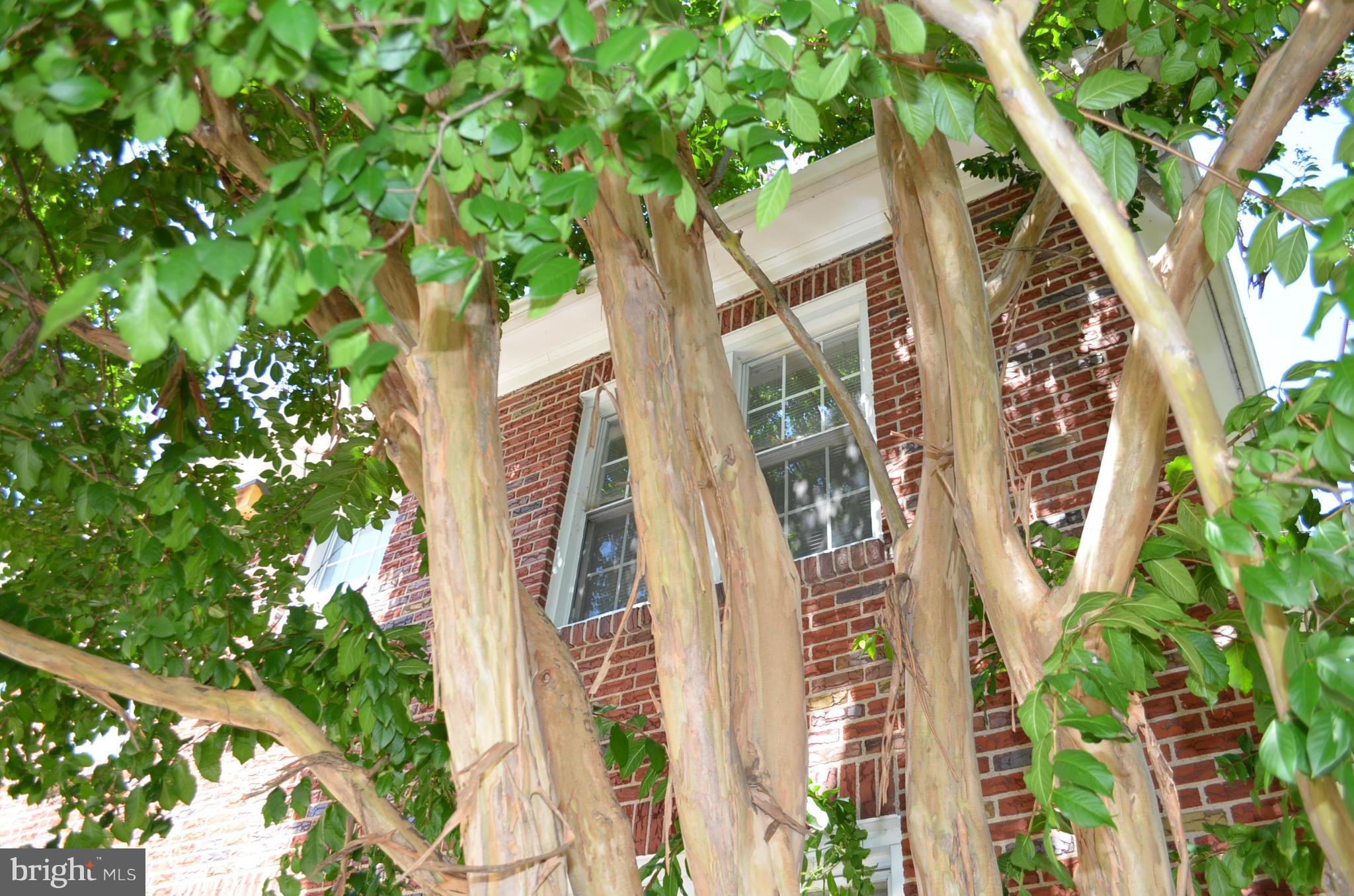 ALEXANDRIA SQUARE - Residential Lease