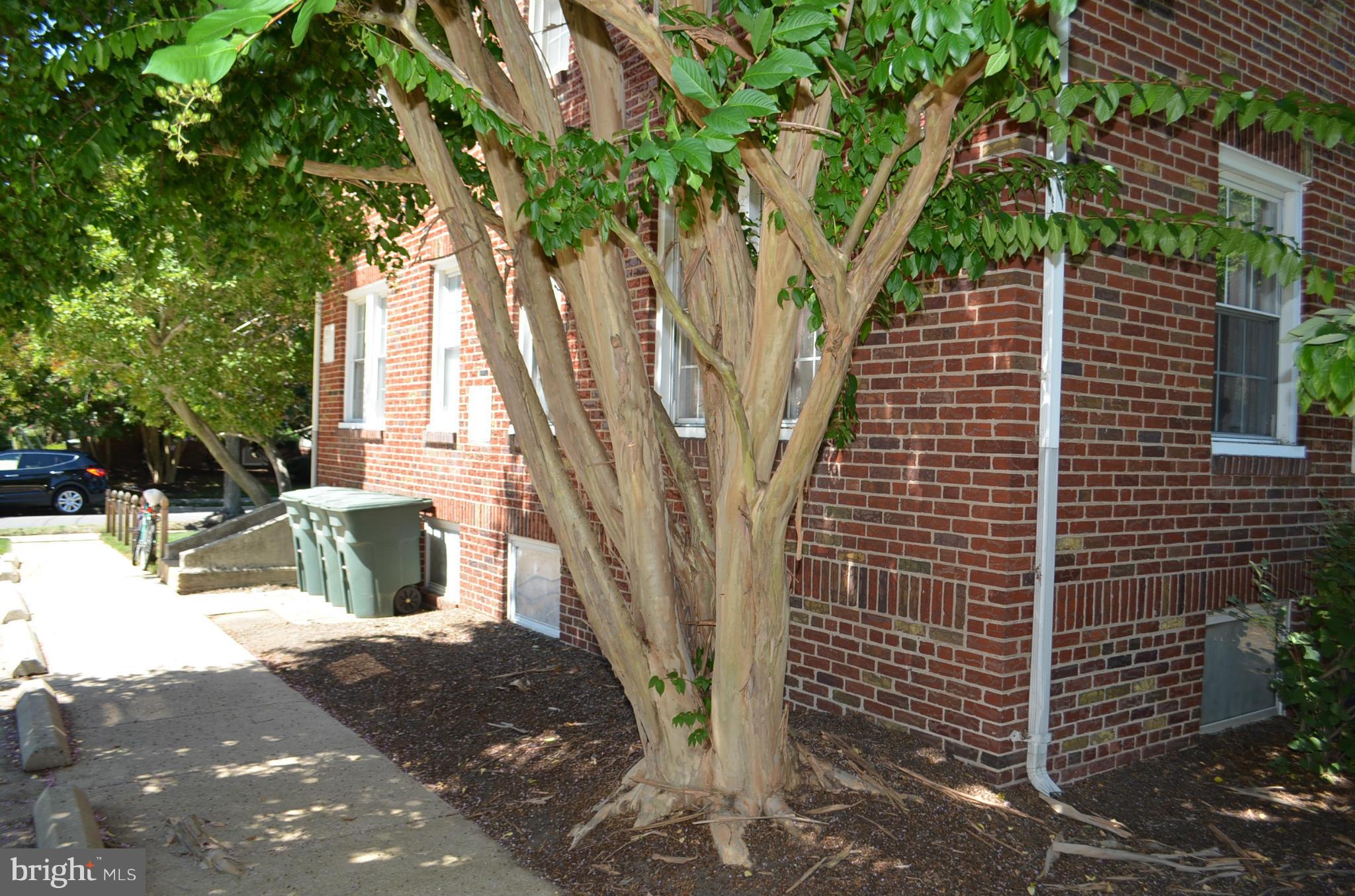 ALEXANDRIA SQUARE - Residential Lease