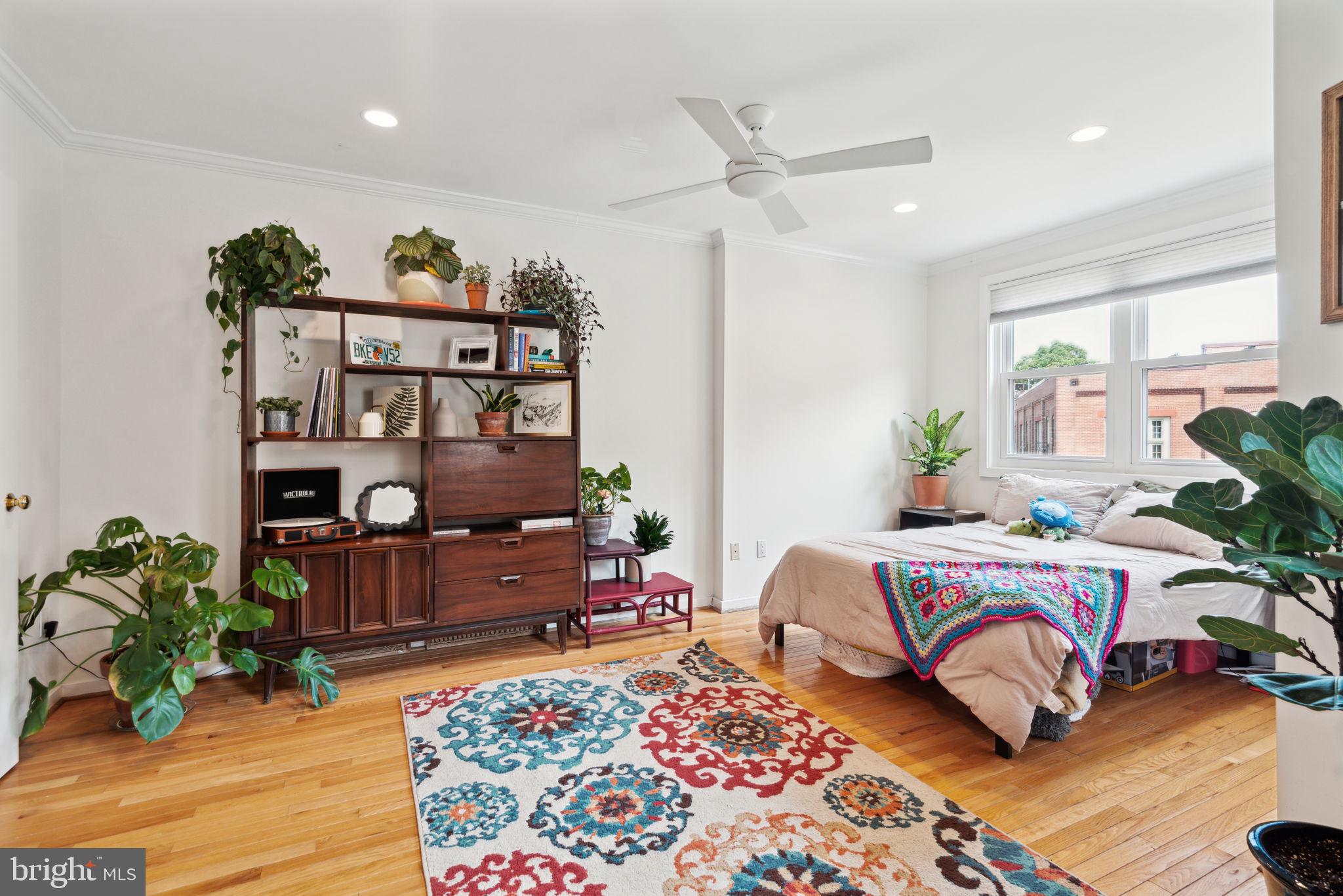 ART MUSEUM AREA - Residential