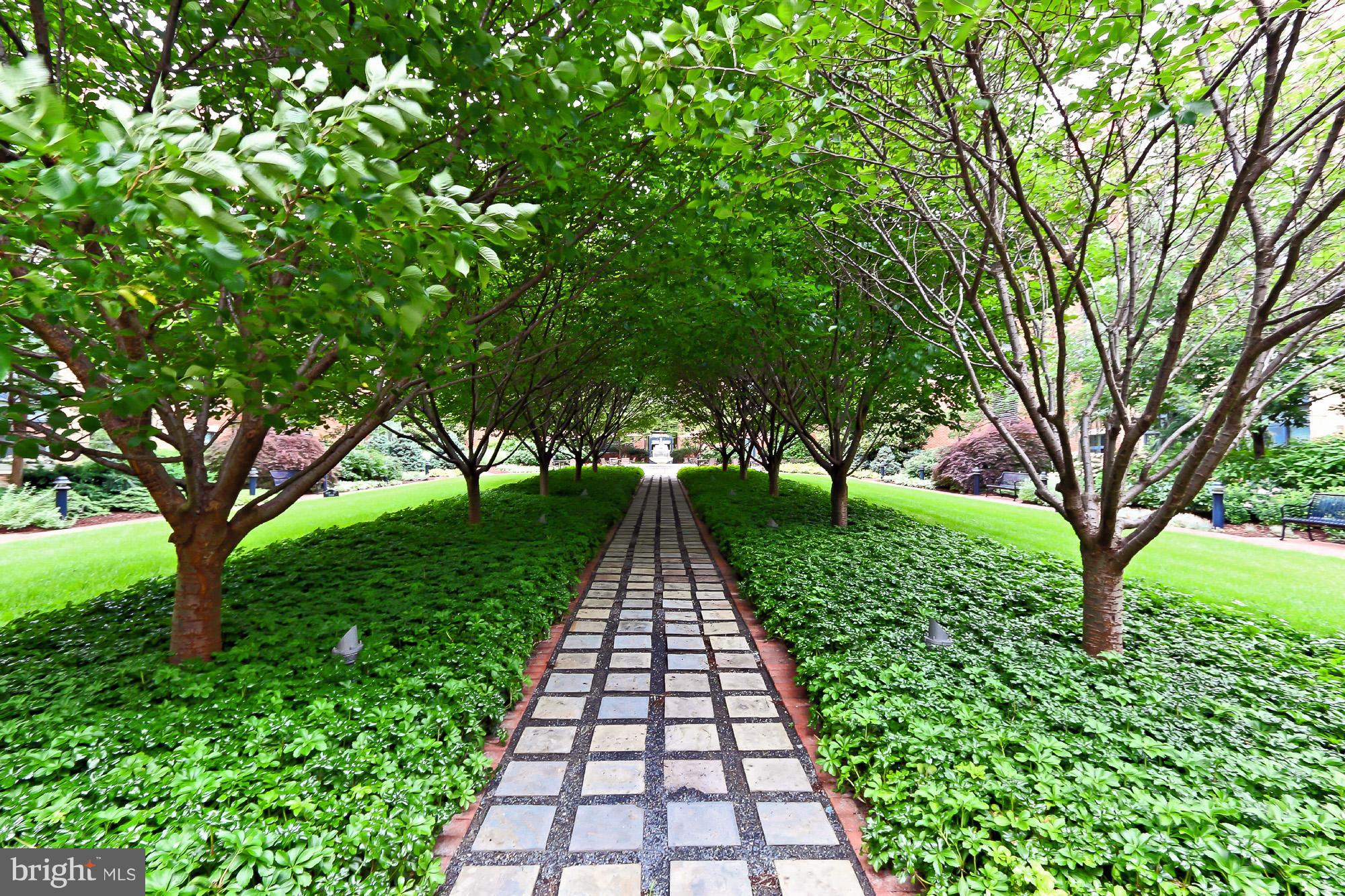 CONDOS AT CARLYLE SQUARE - Residential