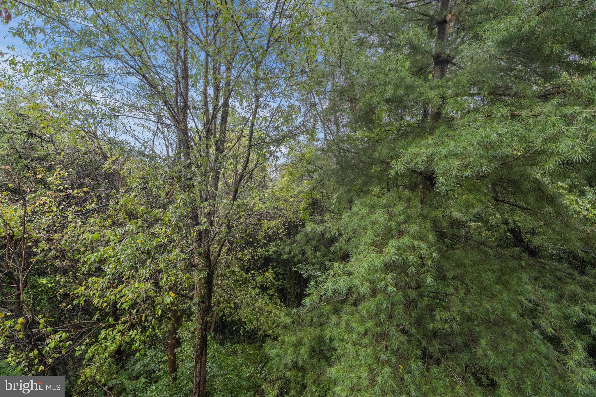 18711 SPARKLING WATER DRIVE F