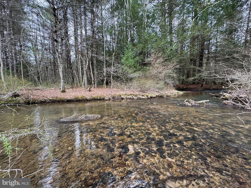 Beautiful 1.74 Acre property with access to Honey Creek . Approximately 1/3 of the property is a cleared meadow with Honey Creek cutting through the middle of the lot. The back of the property, on the other side of Honey Creek, is wooded with mature trees. 
This is the perfect property to build your dream cabin or bring your camper to enjoy the peaceful mountain stream setting.  Not located in a flood zone.
The property is located just 5 miles from Reeds Gap State Park offering great hiking trails, pavilions and a playground. The Wilderness Lodge is just a stone's throw away, with great food and cold drinks. What more could you ask for? Don't wait, this amazing property won't last long.