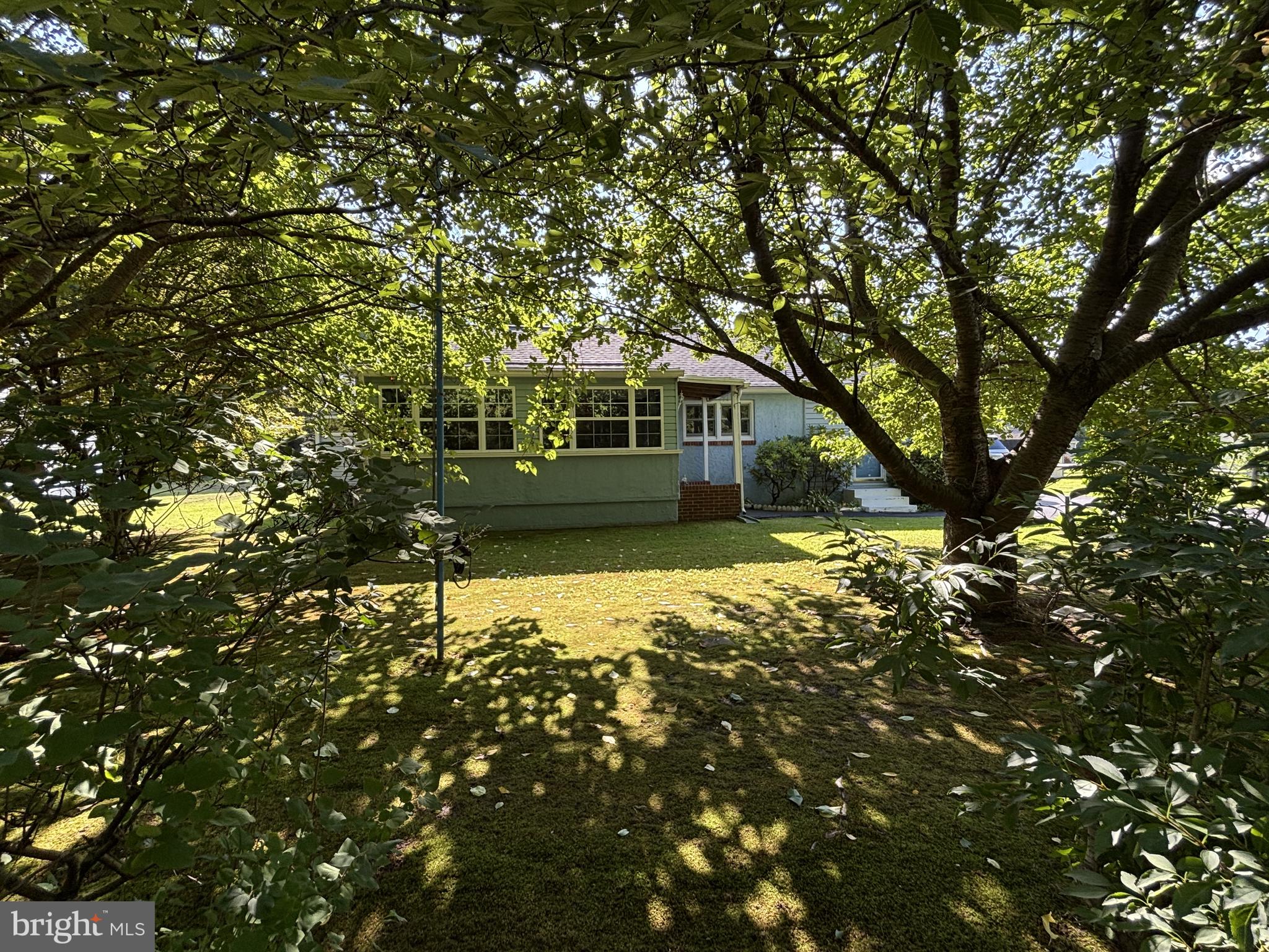7 PINE TREE LANE