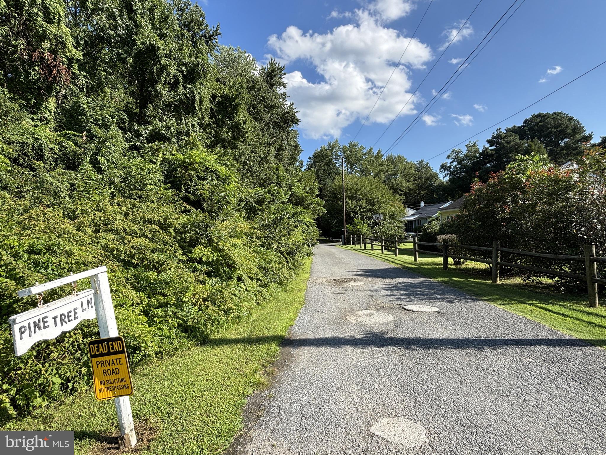 7 PINE TREE LANE