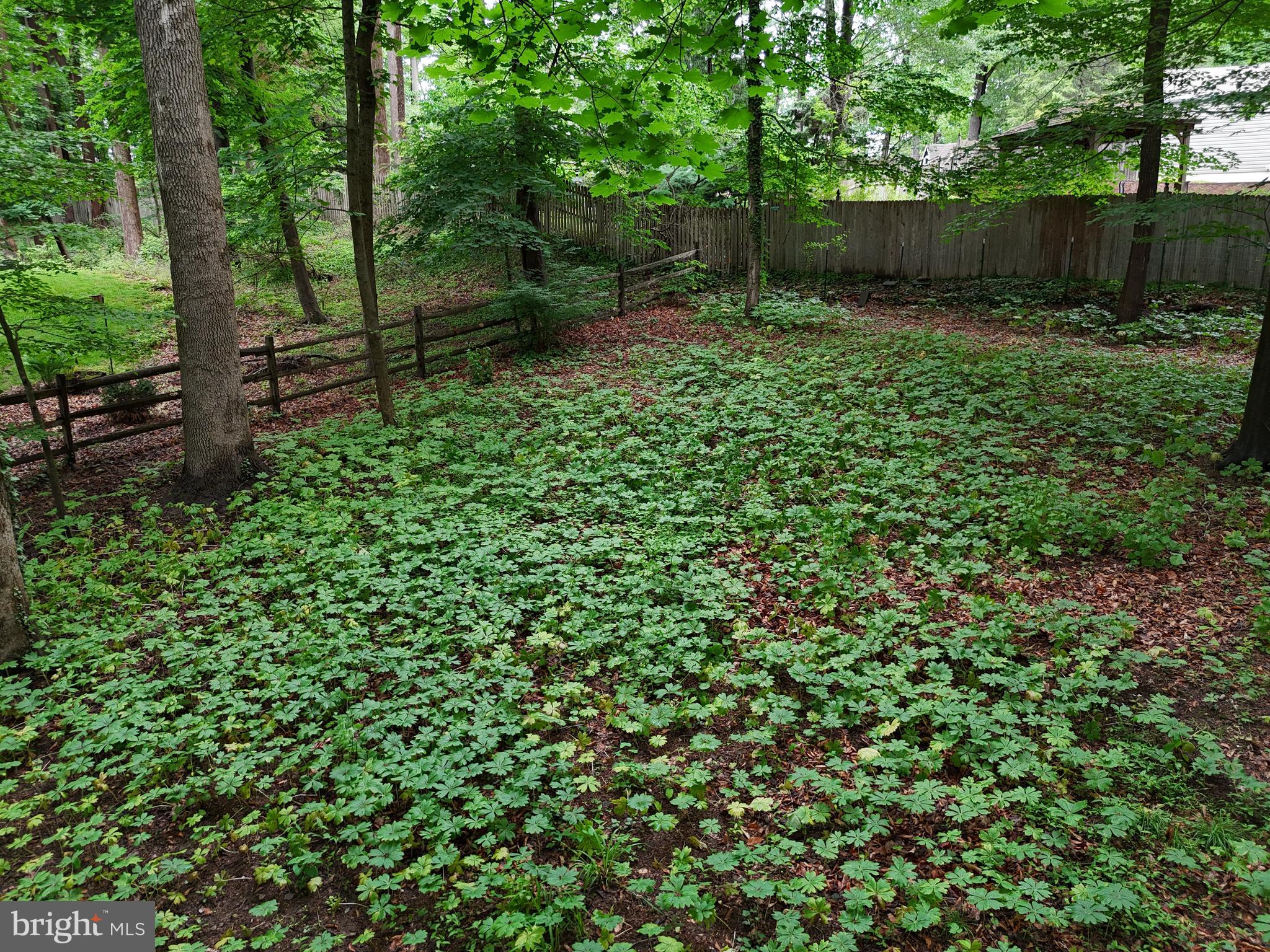 TOWER HILL - Residential